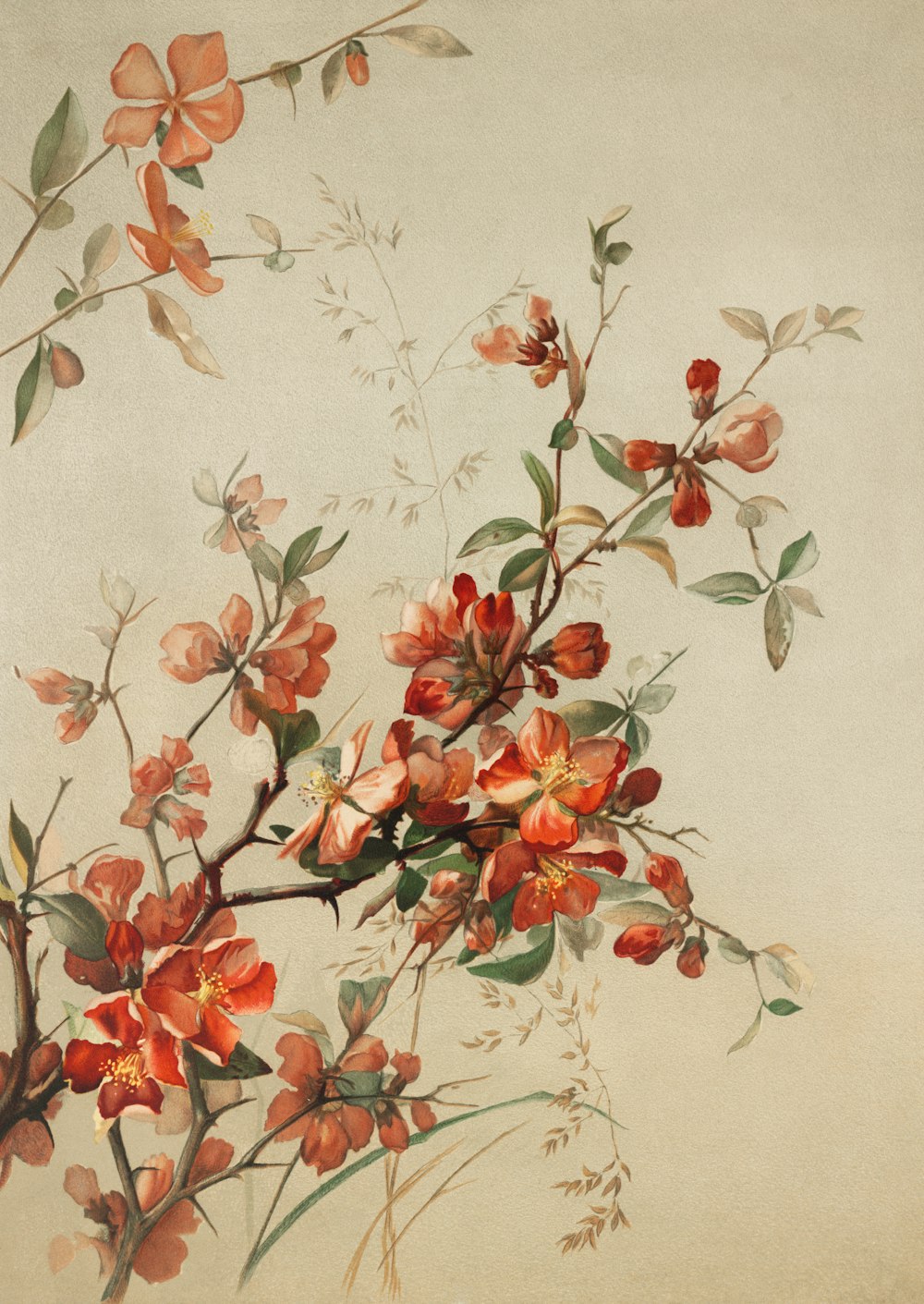 a painting of red flowers on a white background