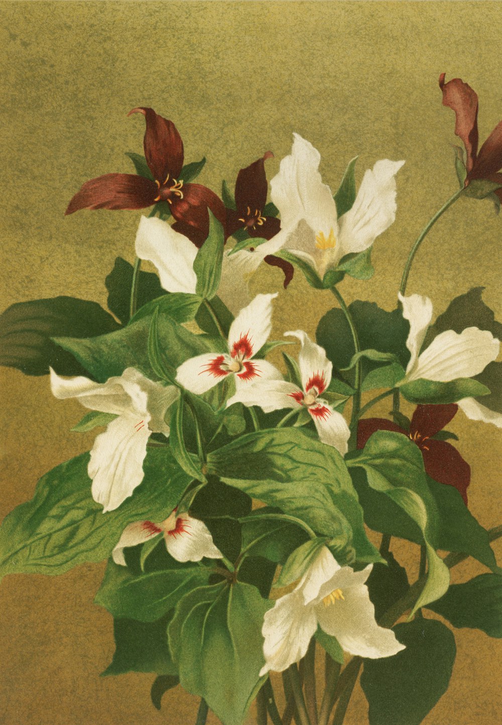 a painting of white and red flowers in a vase