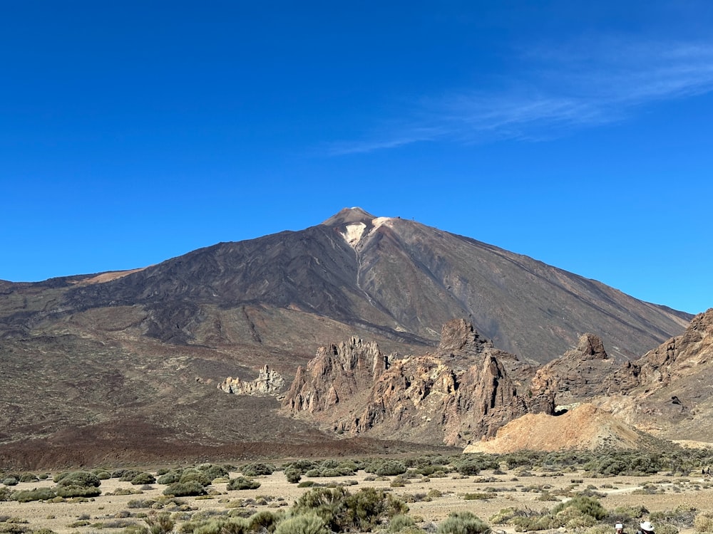 a mountain range with a few trees in the foreground