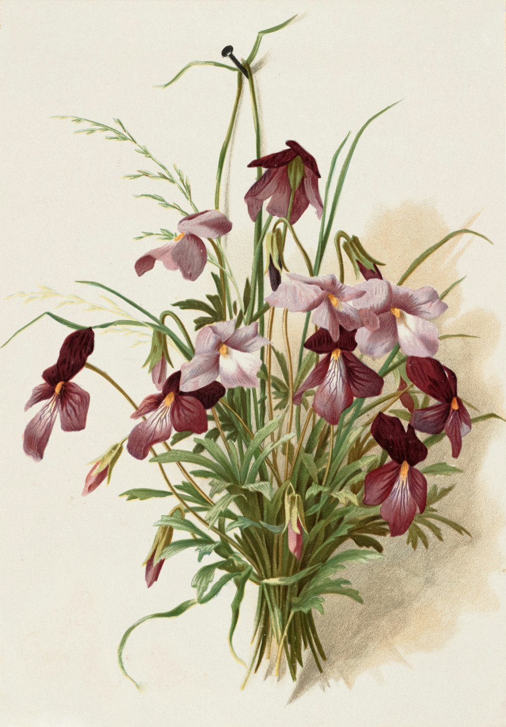 un dipinto di un mazzo di fiori viola