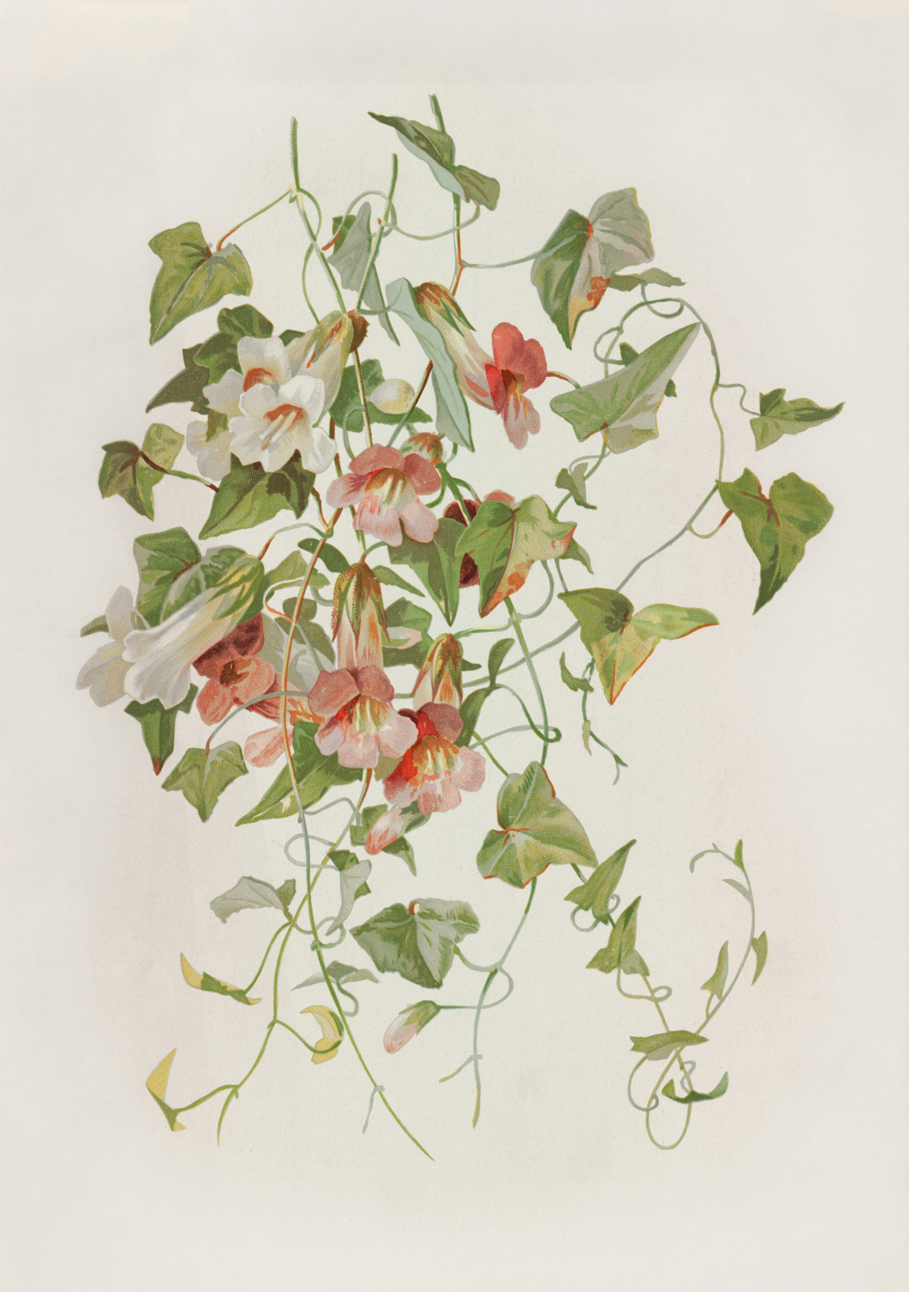 Photo by bostonpubliclibrary