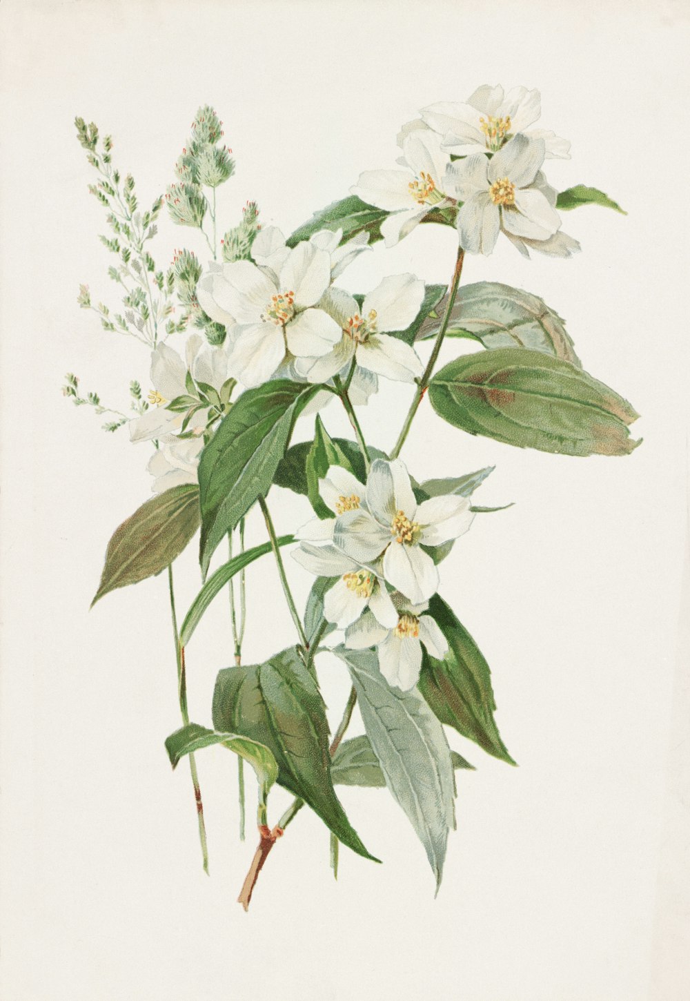 a painting of white flowers and green leaves