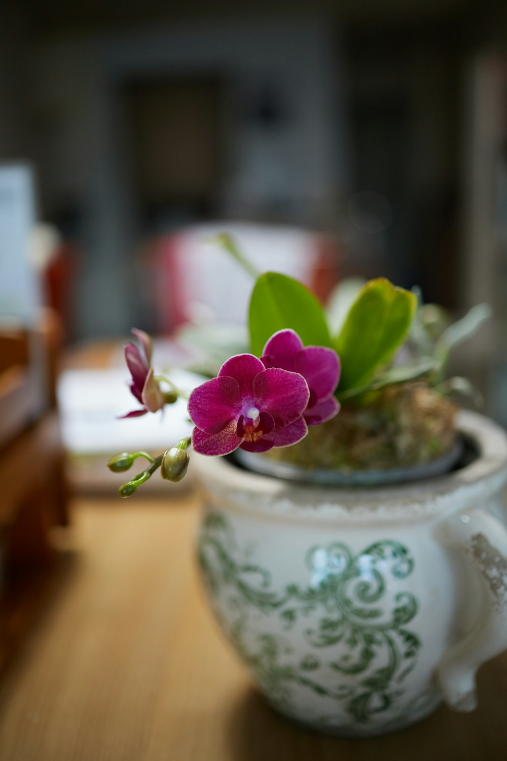 a potted plant with a pink flower in it