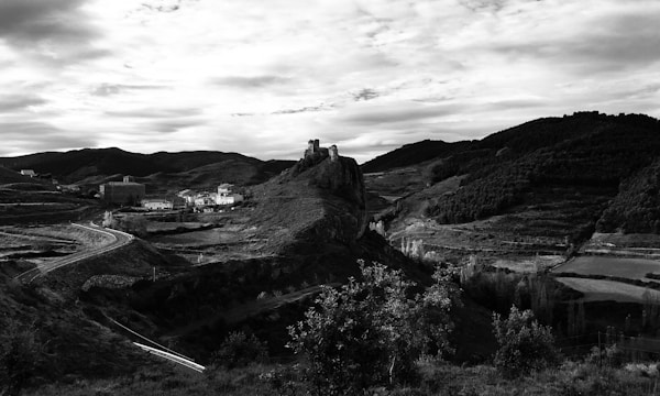 Rioja vineyard landscape Spain