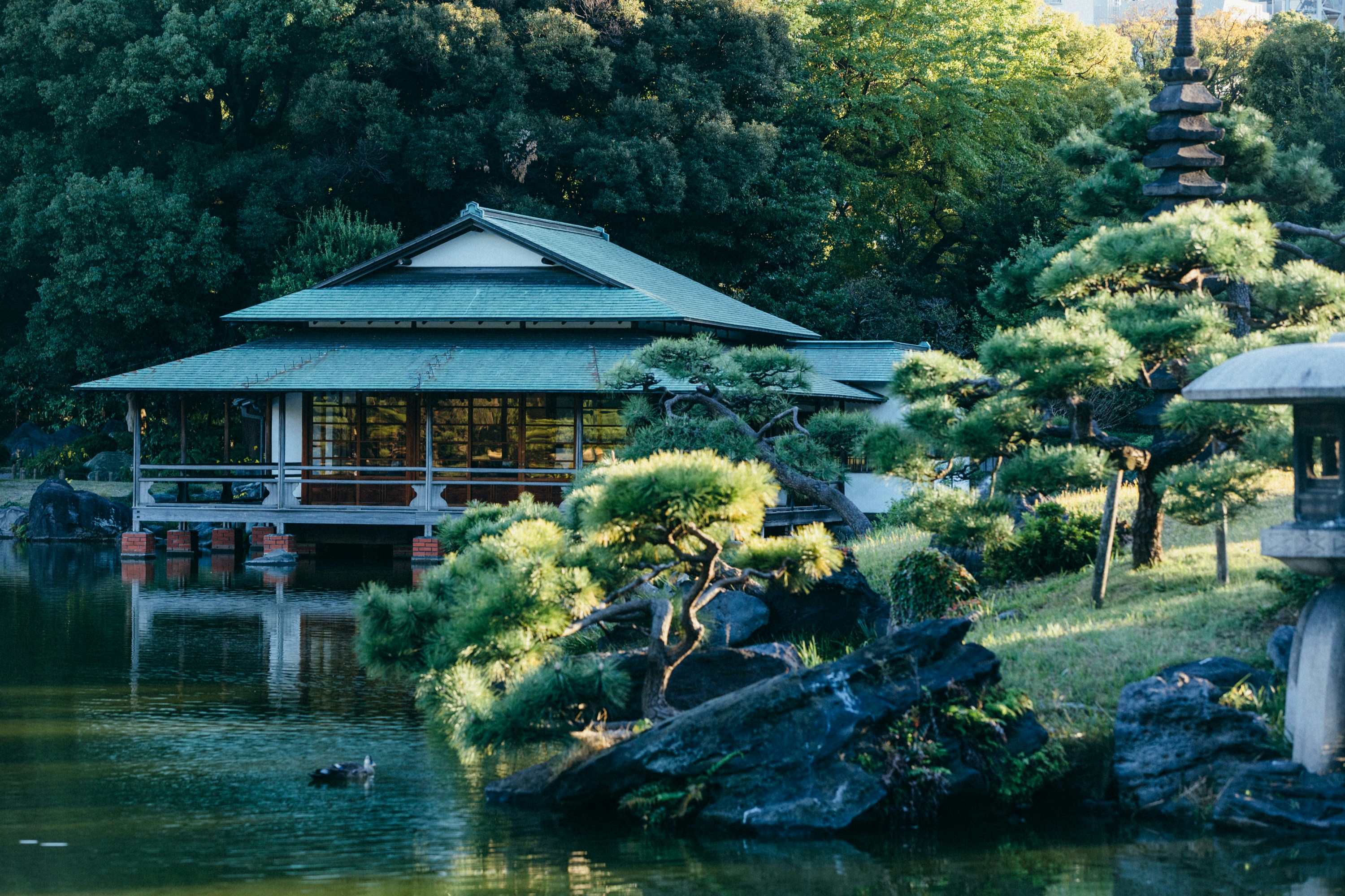 Photo by tsuyoshikozu