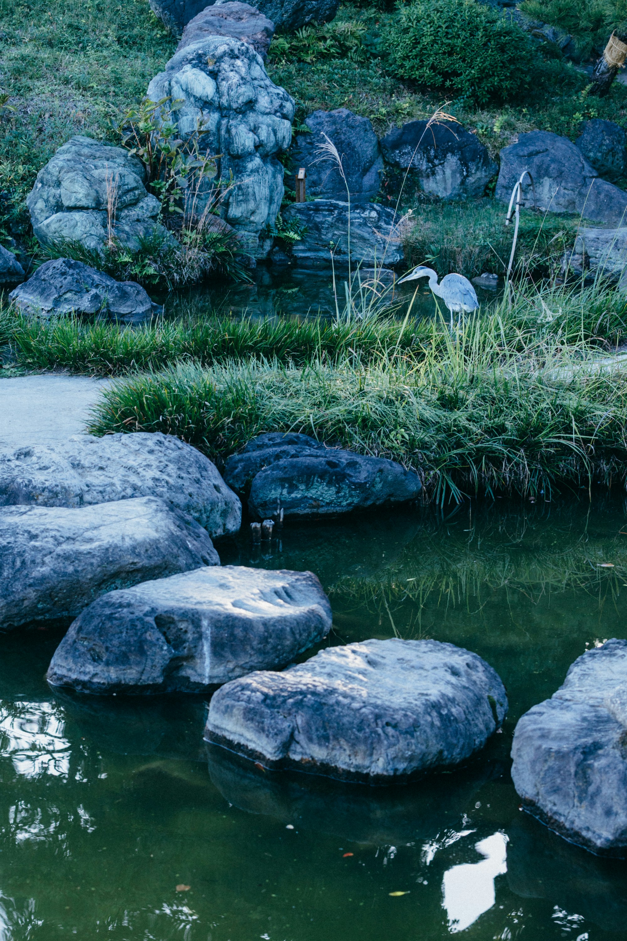 Photo by tsuyoshikozu