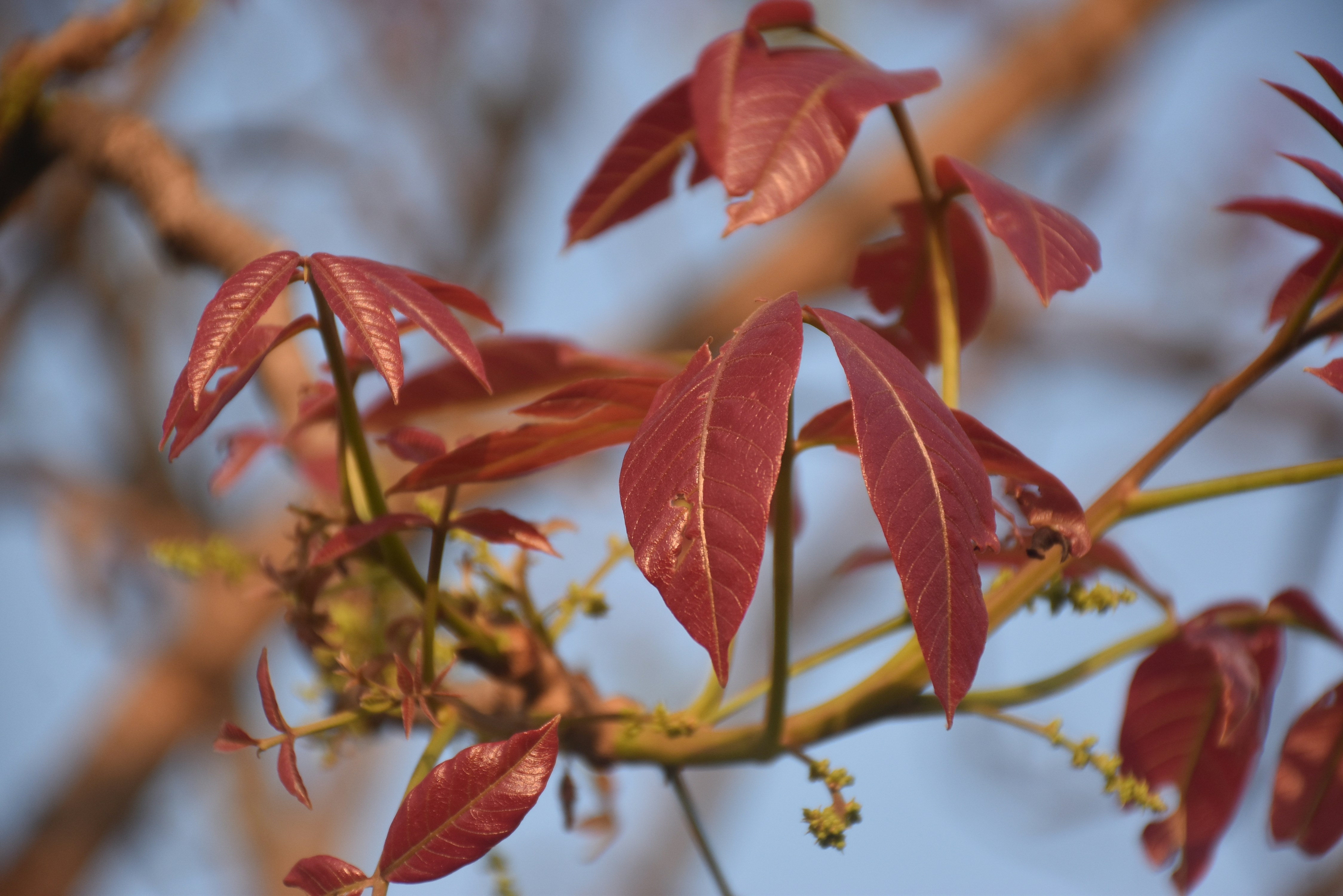 Photo by priyankabrokenheart90