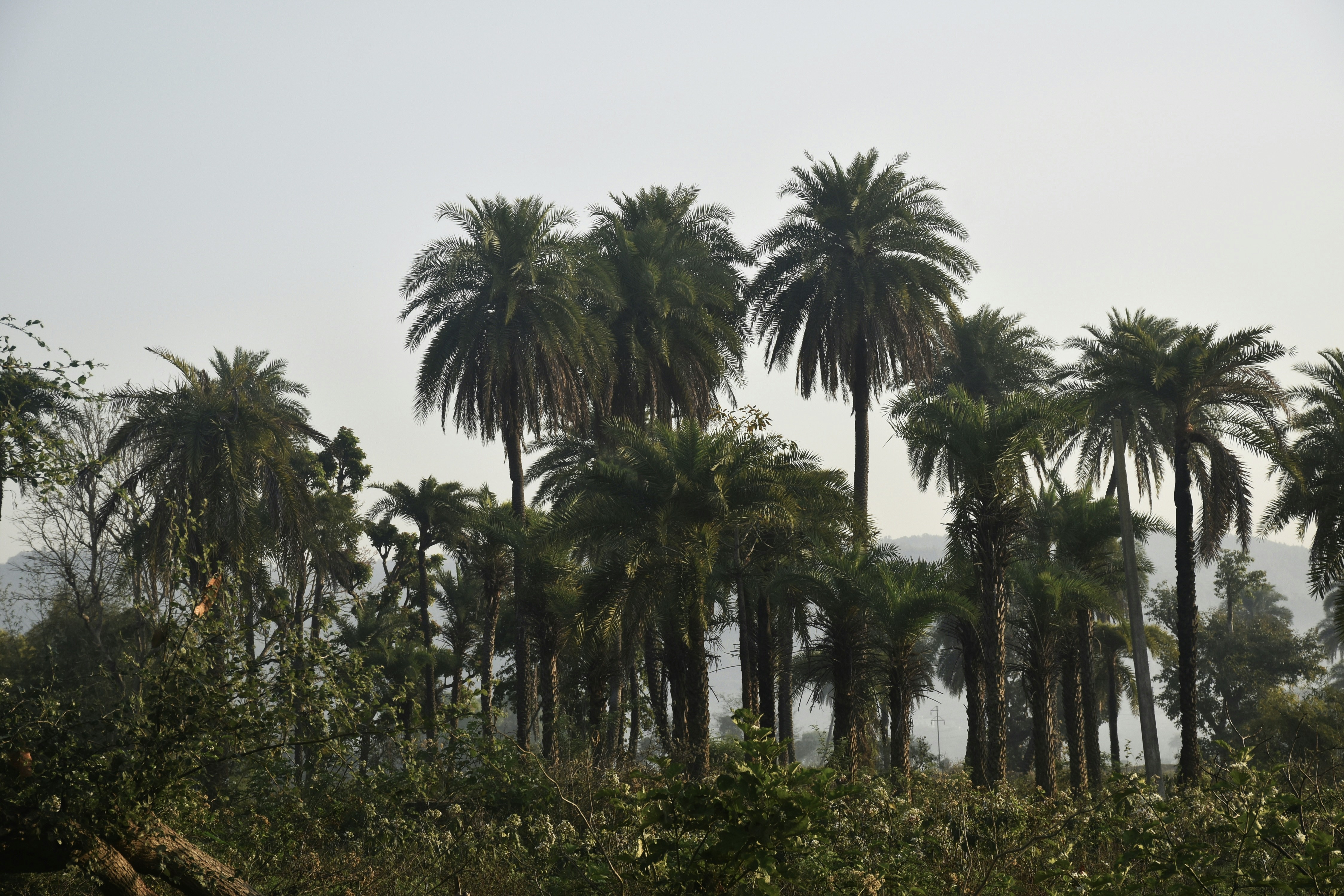 SSY destination photo