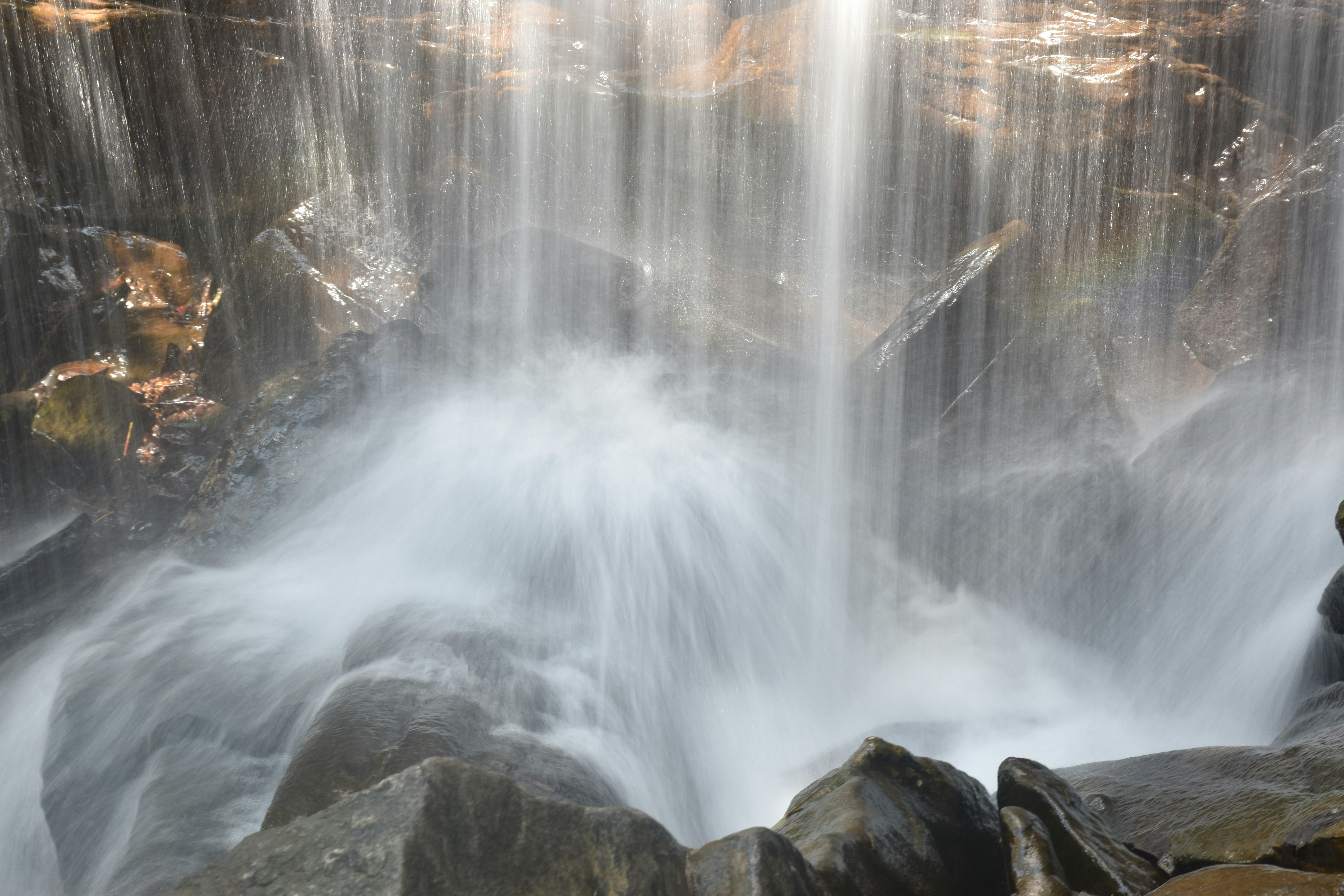 Photo by priyankabrokenheart90