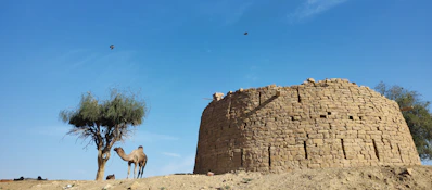 a camel standing in front of a brick building