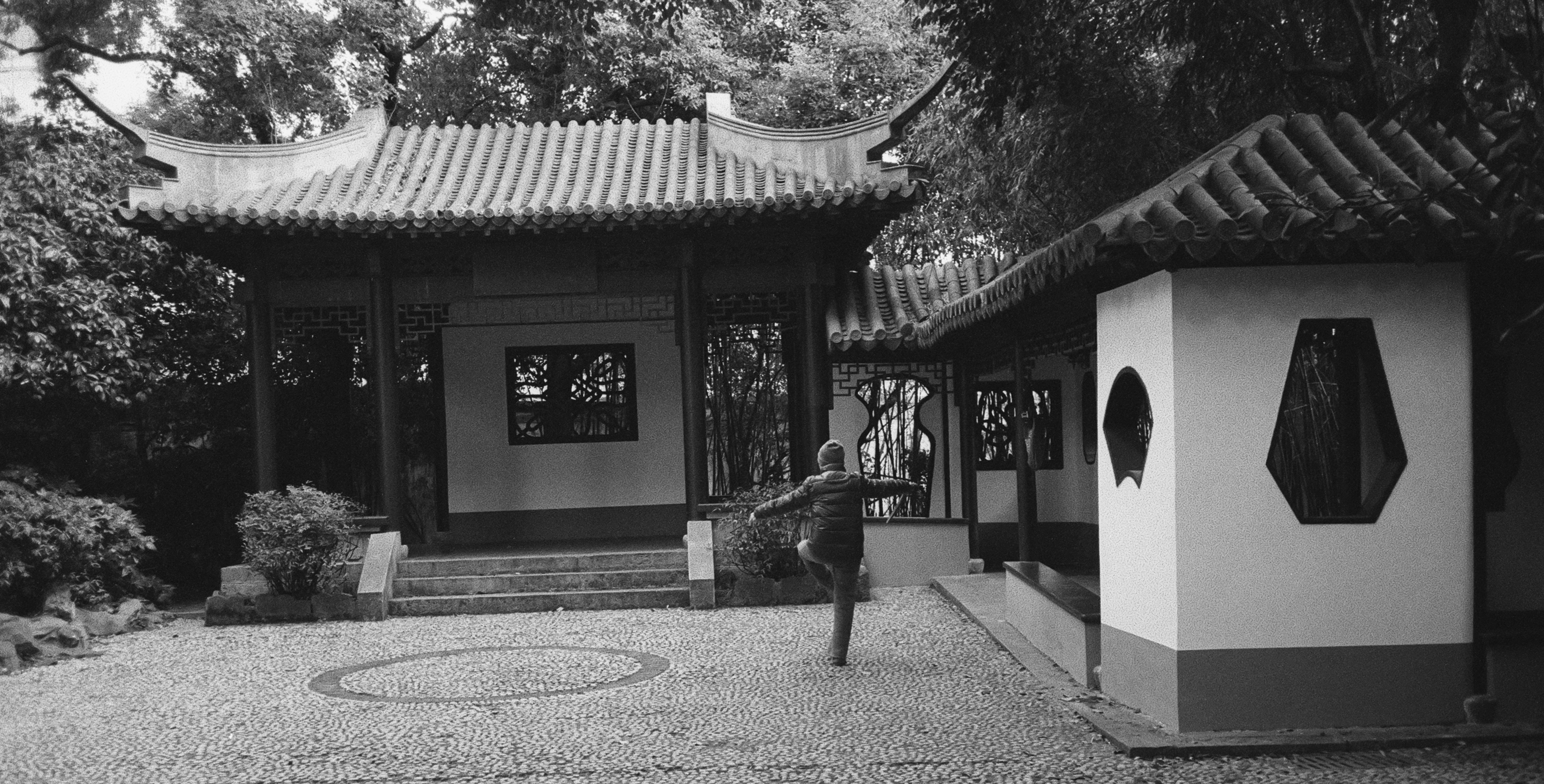 Photo by geraltyichen