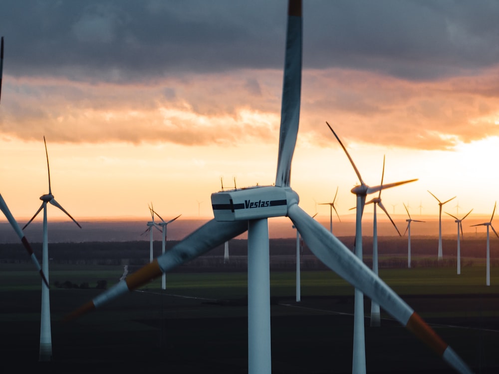 a bunch of windmills that are standing in the grass