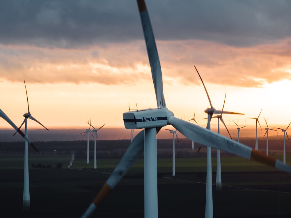 a bunch of windmills that are standing in the grass