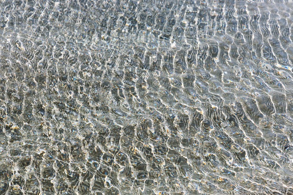 une vue rapprochée de l’eau et du sable