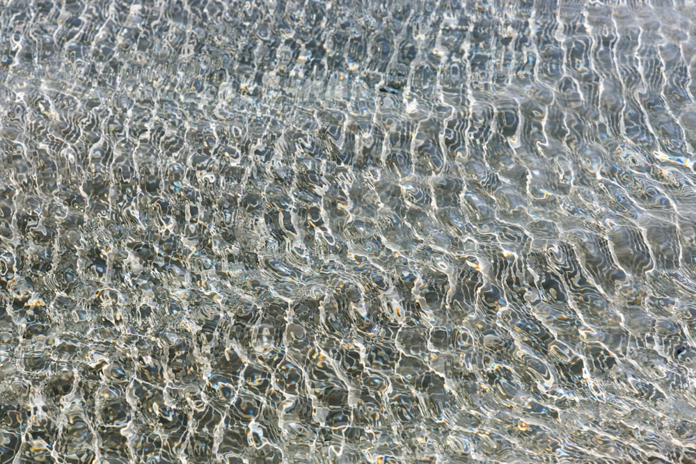 a close up view of water and sand