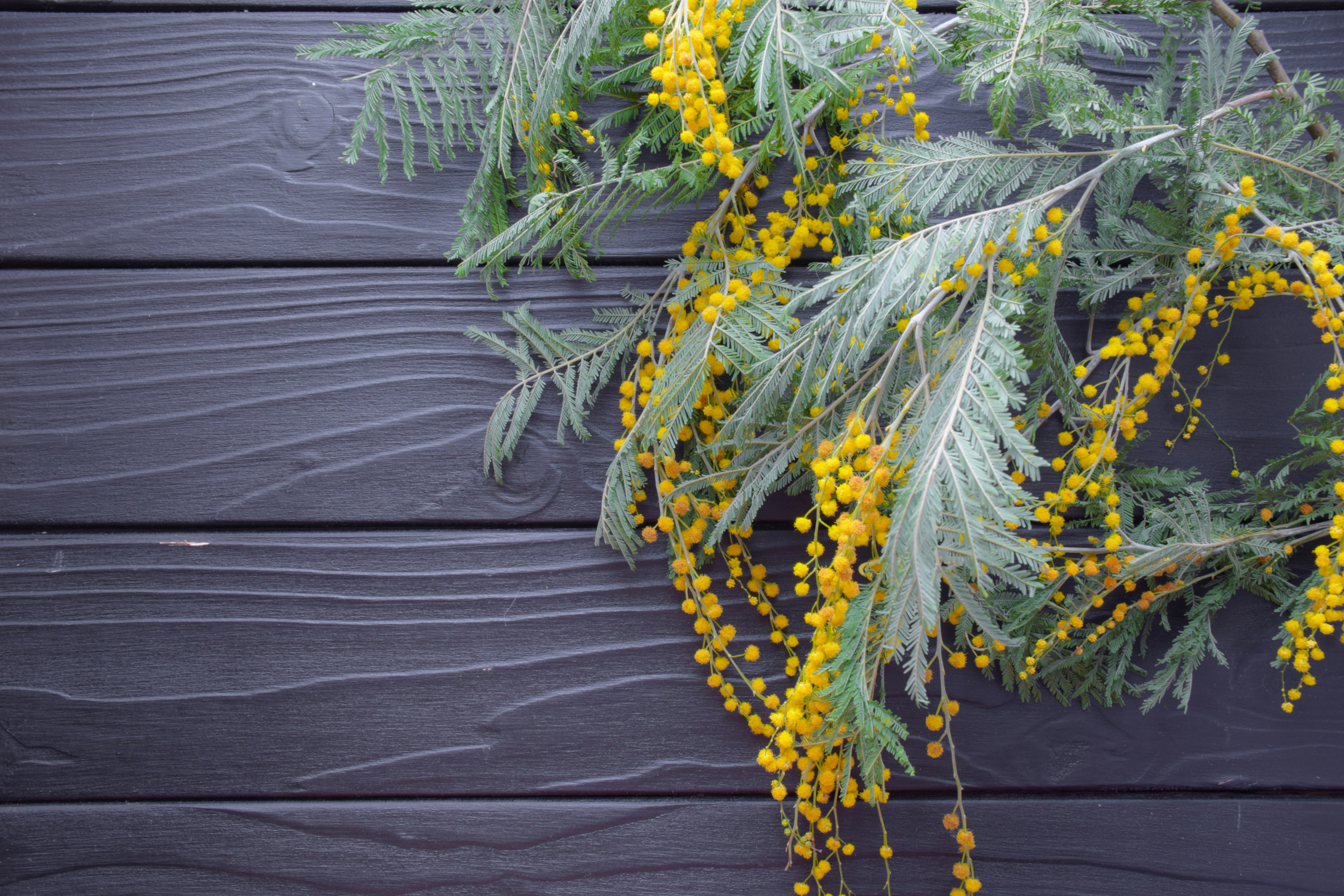 a bunch of yellow flowers sitting on top of a wooden table