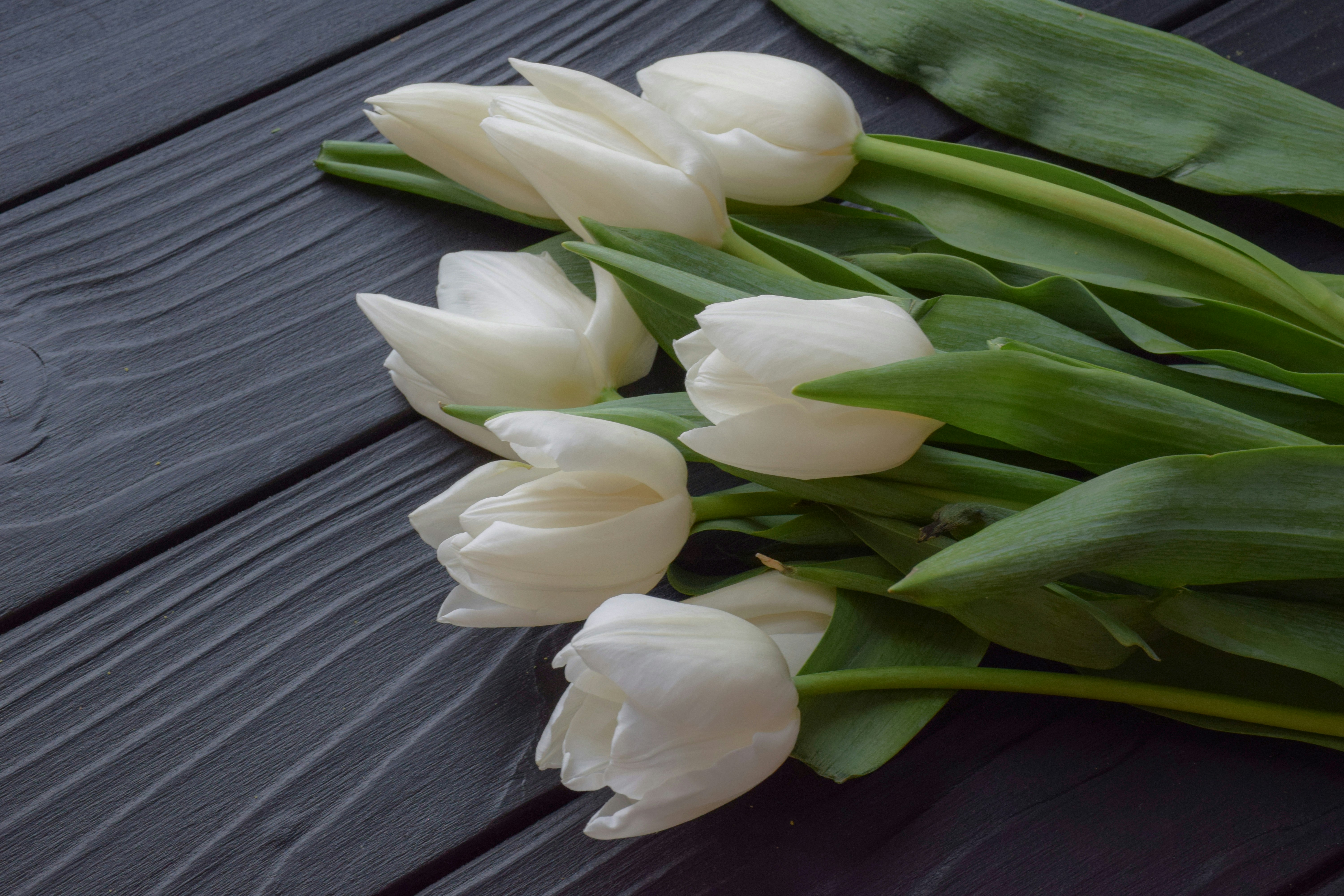 Photo by catiaclimovich