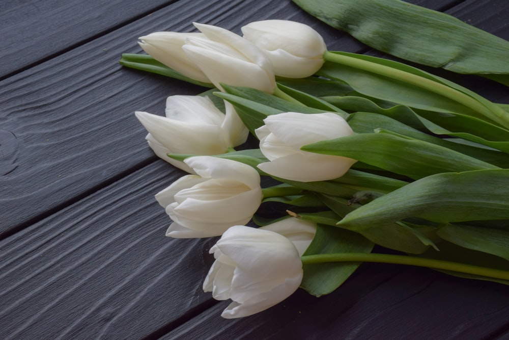 a bunch of white tulips on a table
