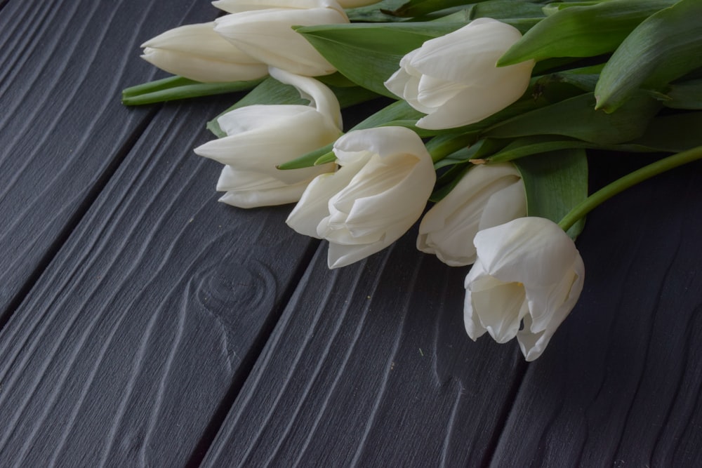 a bouquet of white tulips on a wooden table