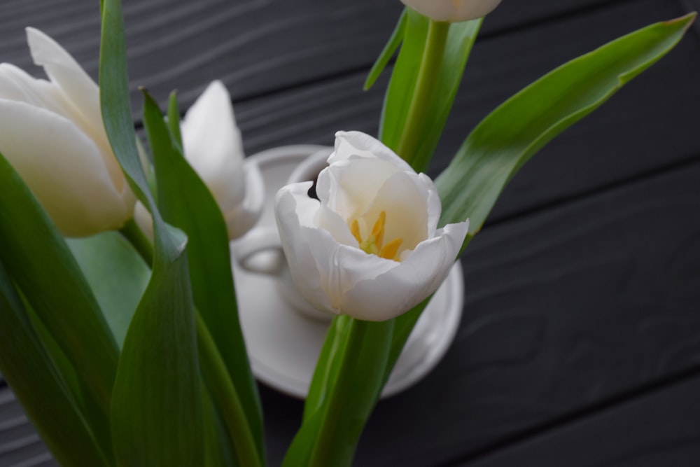 un couple de fleurs blanches assis dans un vase