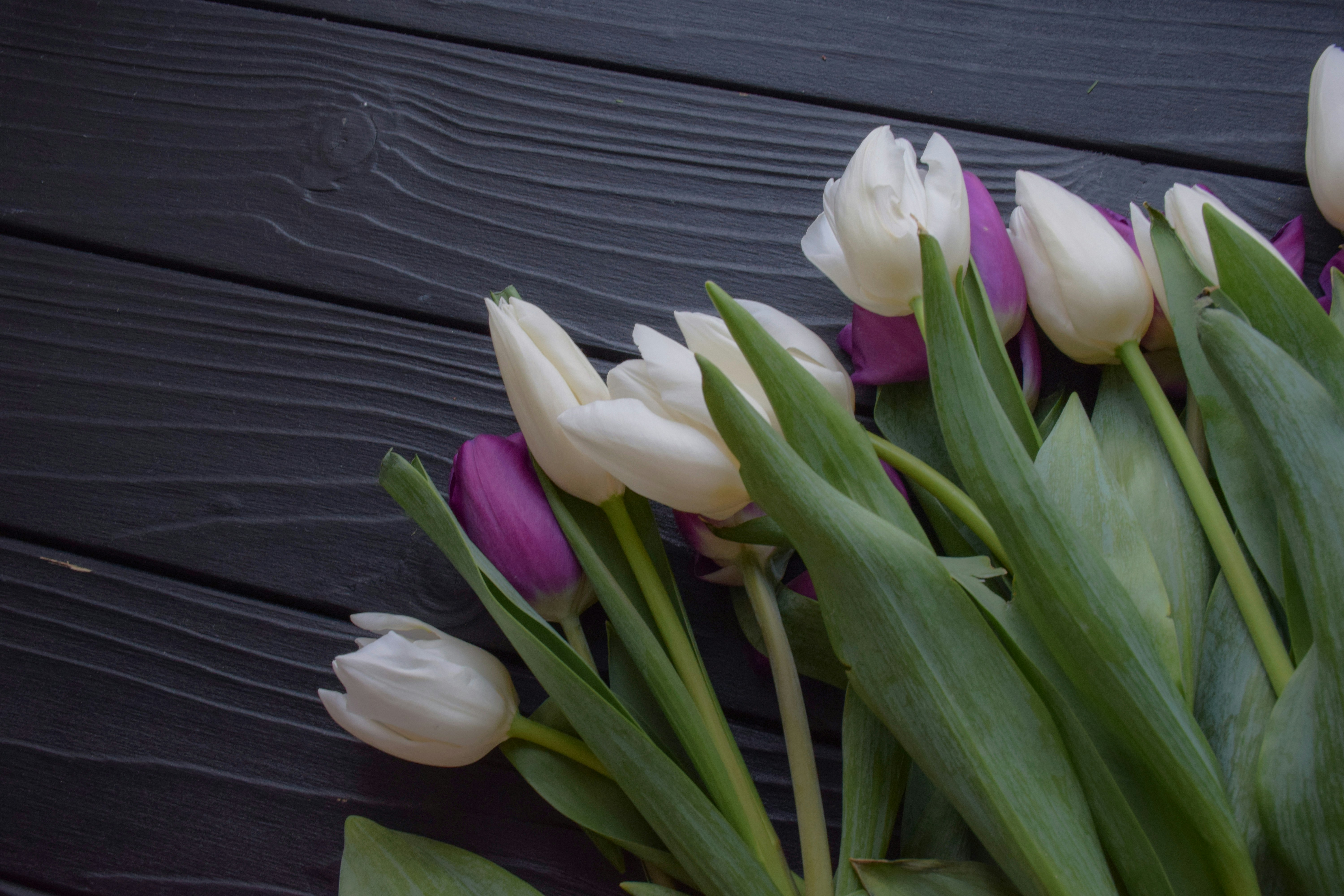 Photo by catiaclimovich