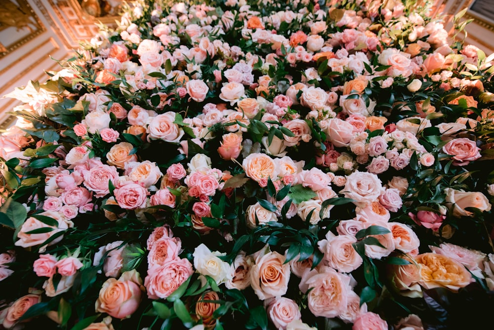 a large amount of flowers are arranged on the floor