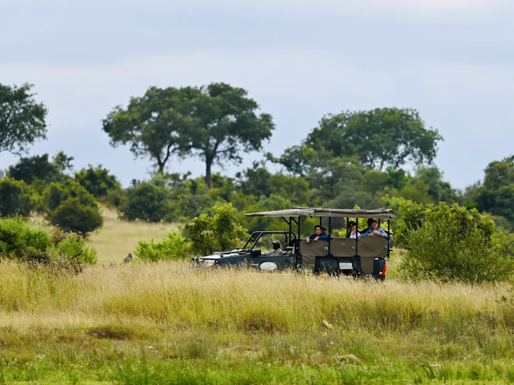 Guests riding in an open safari vehicle on a game drive