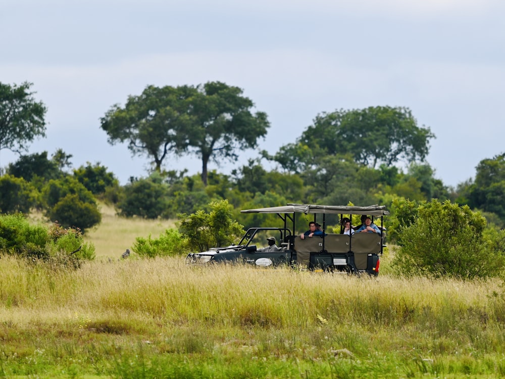 a group of people riding on the back of a safari vehicle
