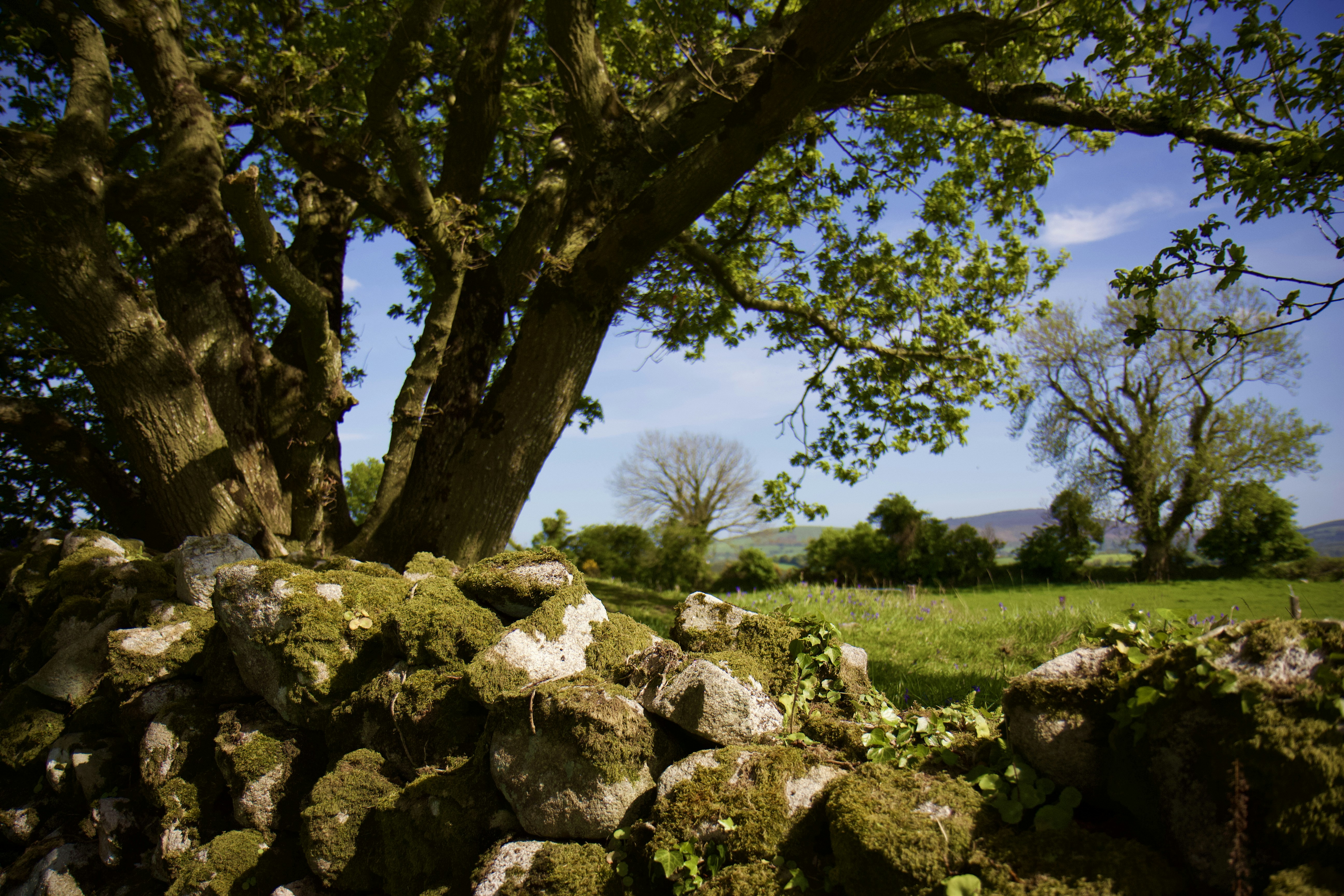 Photo by kalibermann