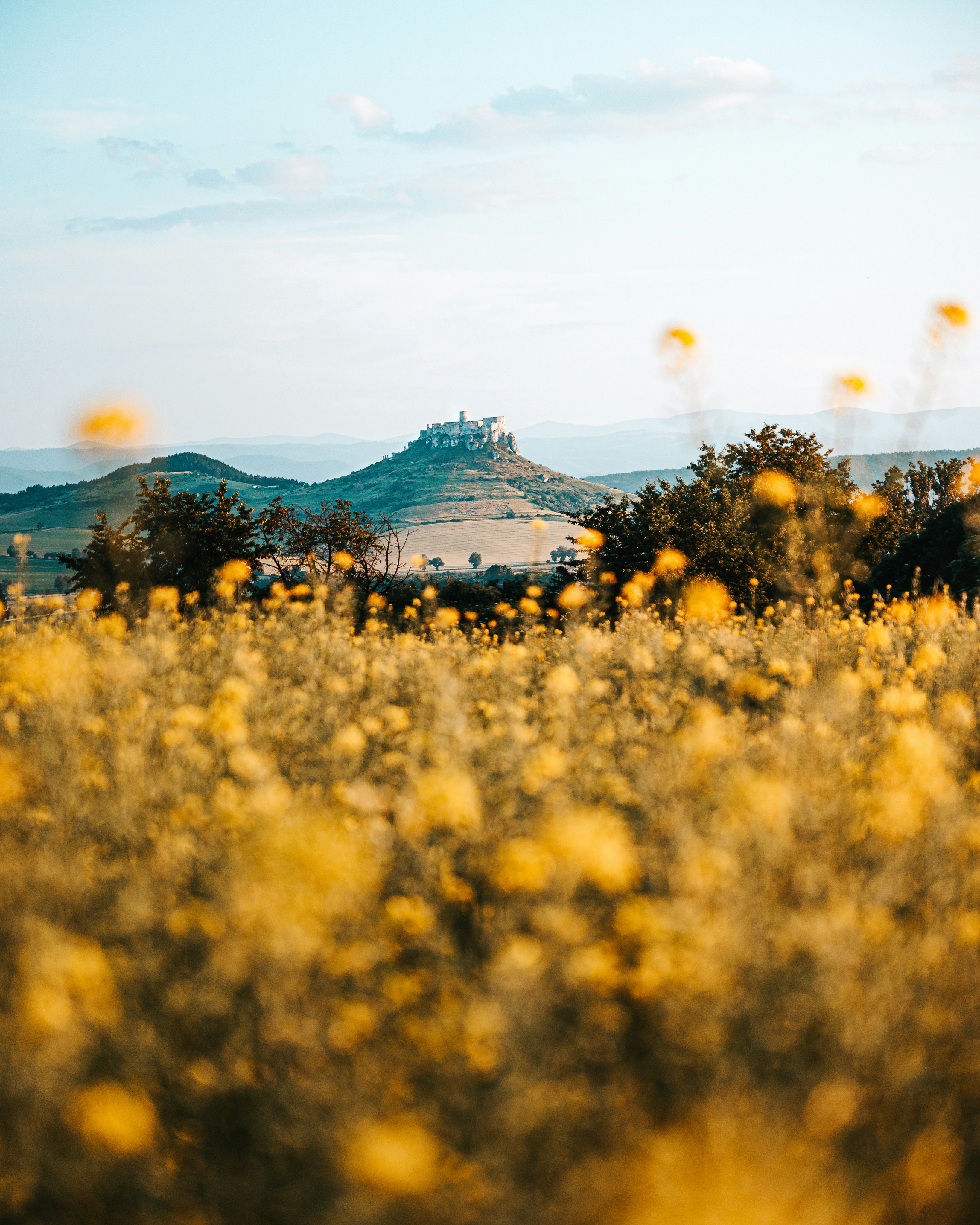 Photo by balogamarek