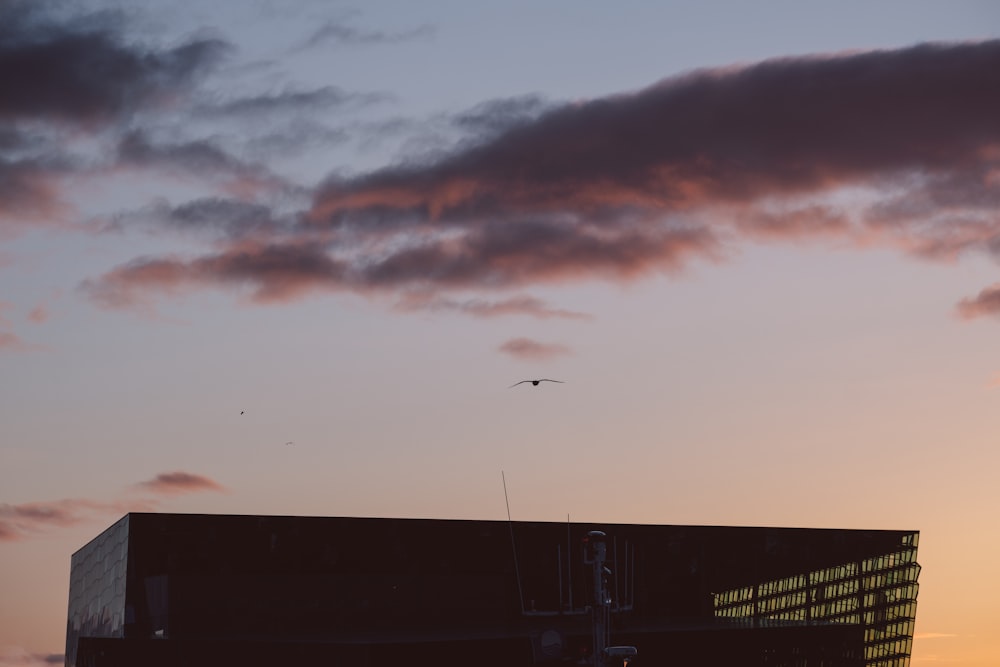 un avión volando en el cielo sobre un edificio