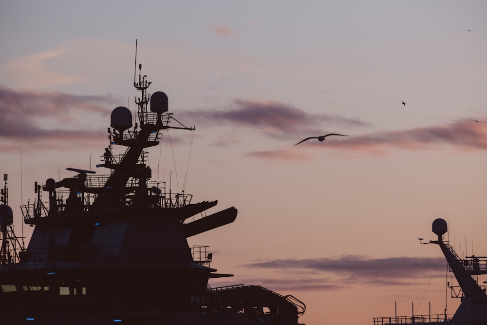 un pájaro volando sobre un barco al atardecer