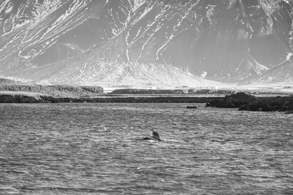 a black and white photo of a person in a body of water