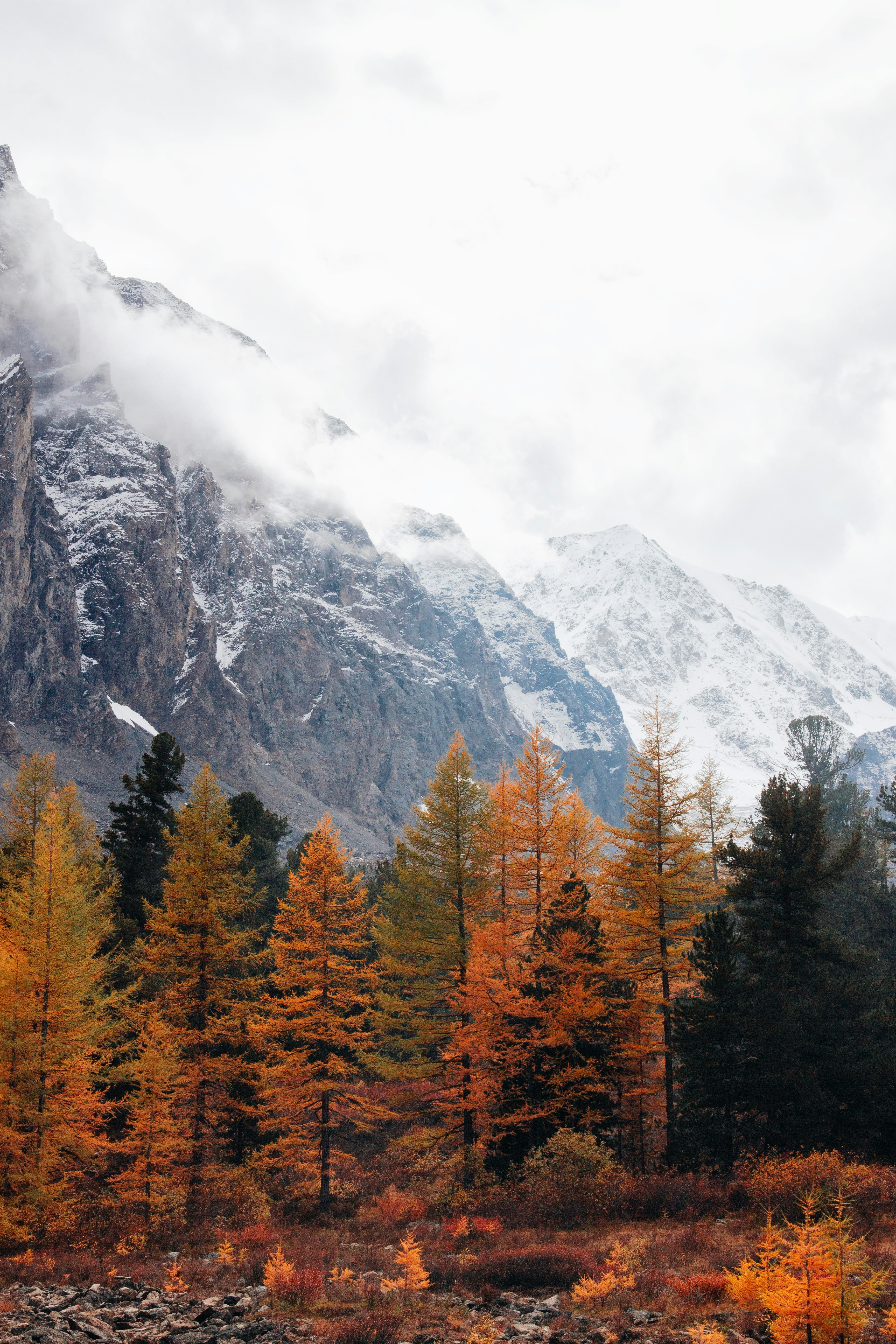 Photo by murcidus_soul