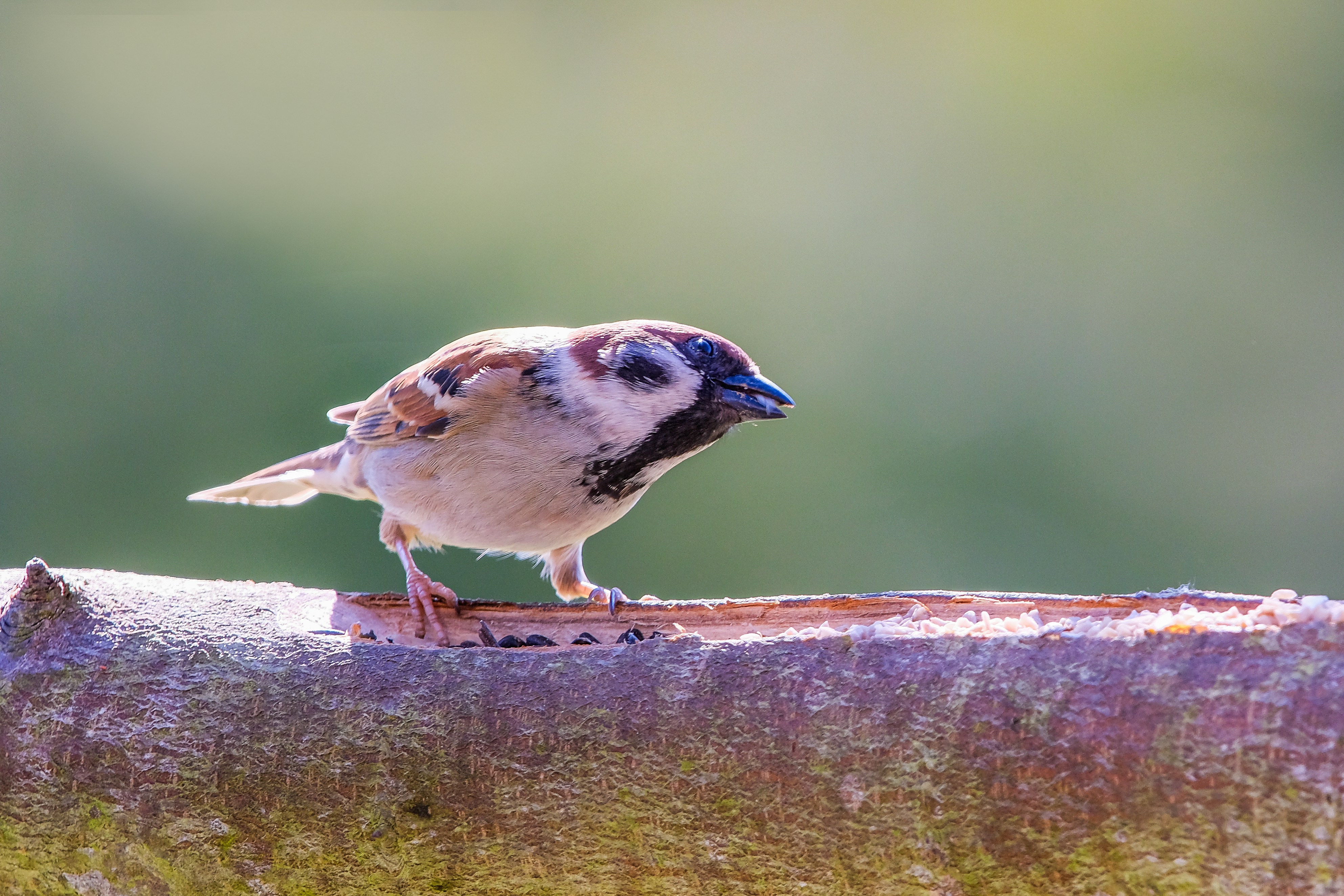 Photo by magictravel