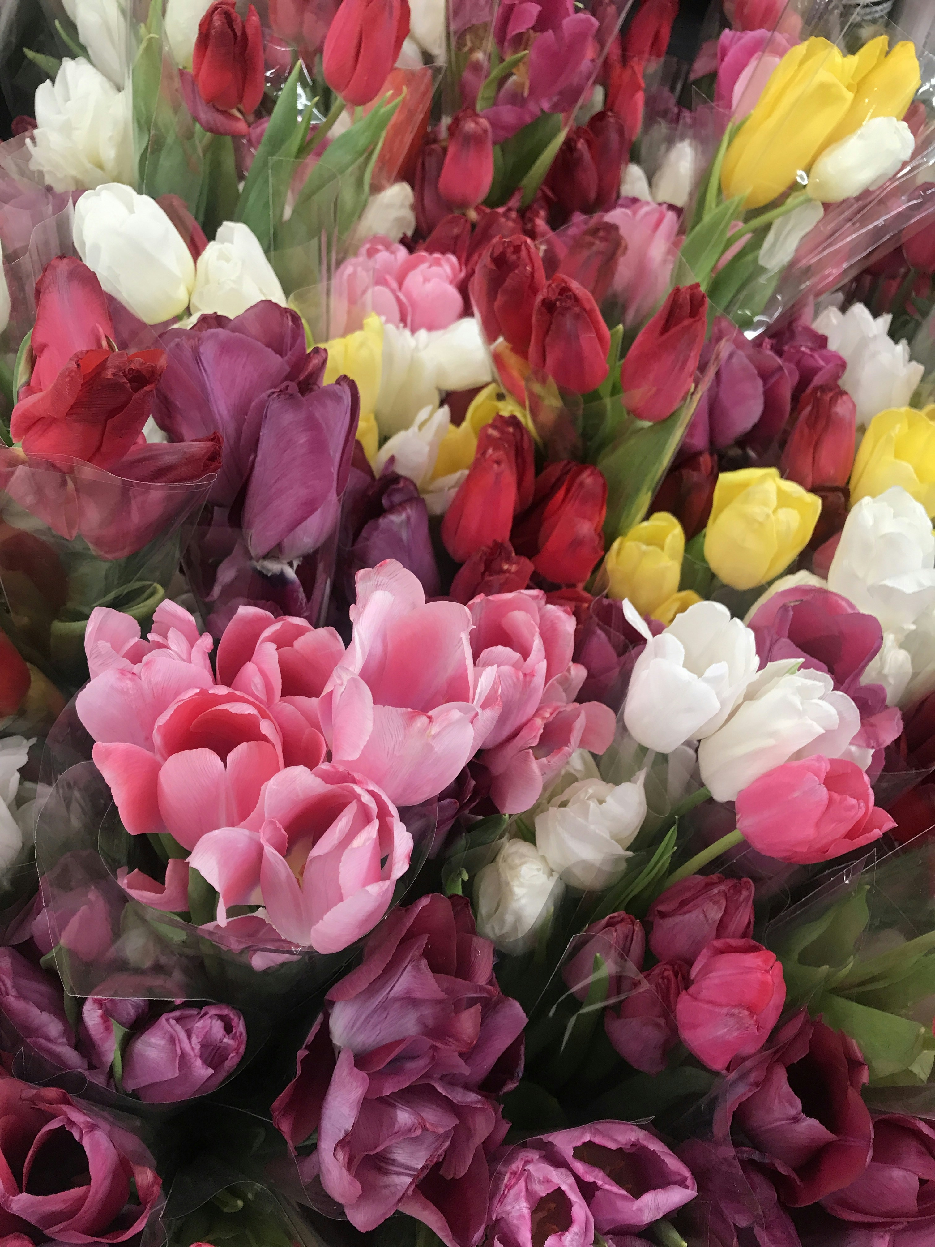 a bunch of flowers that are in a vase