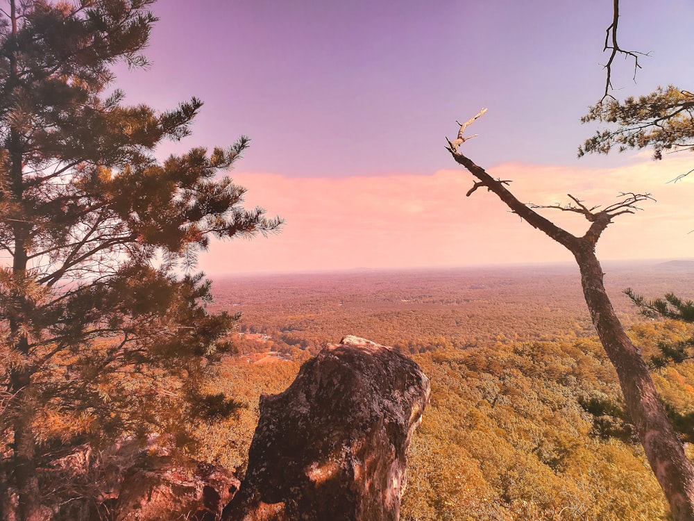 a view of a valley from a high point of view