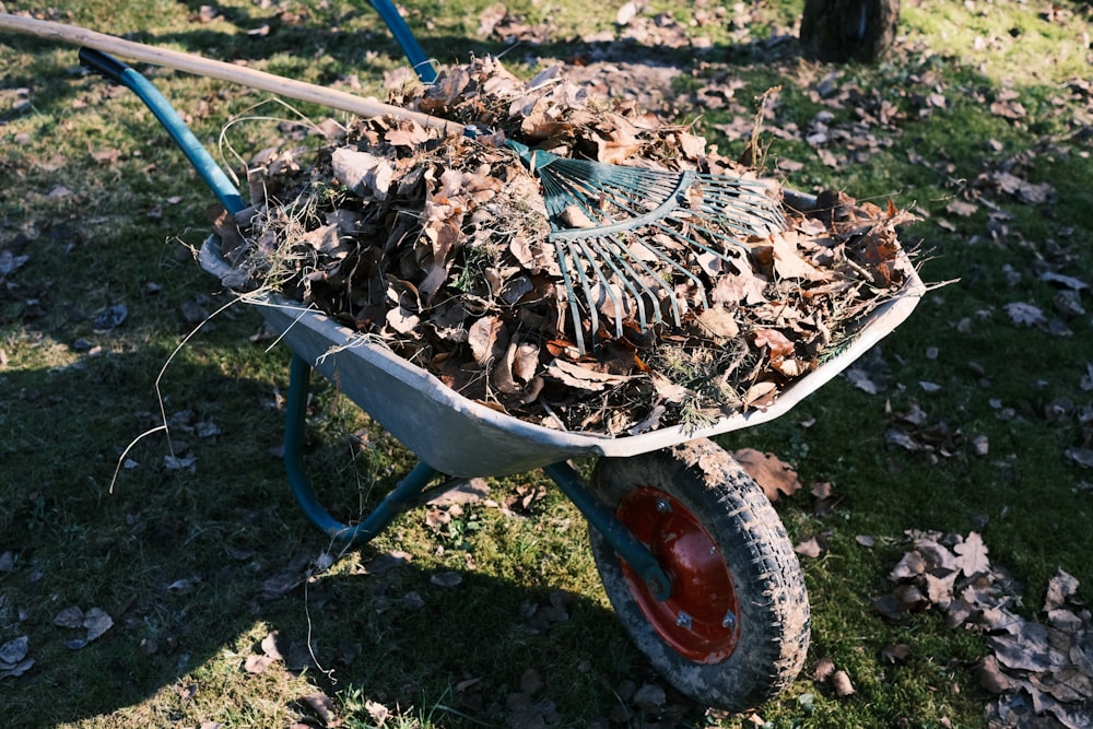 a wheelbarrow full of leaves in a yard