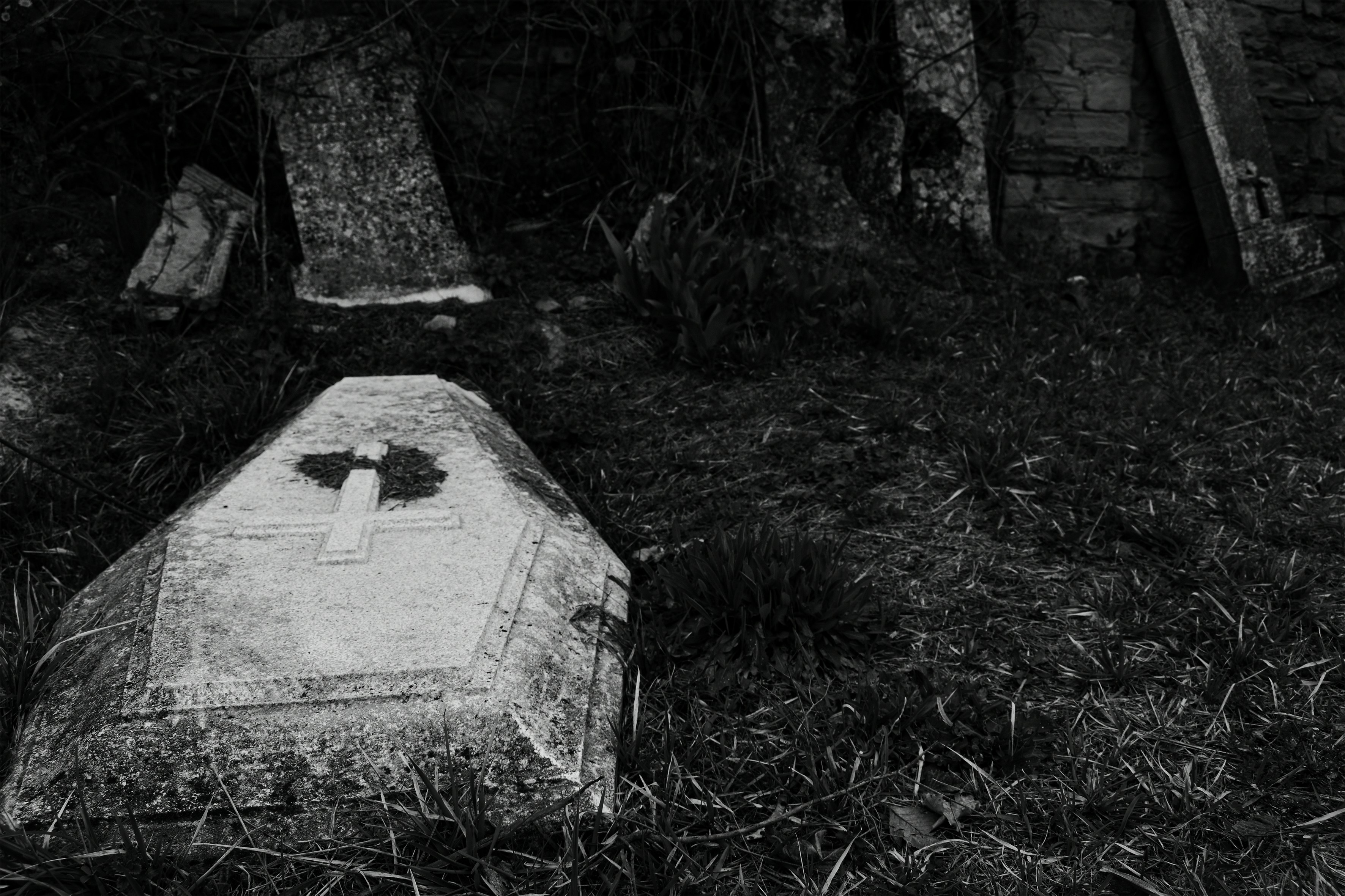 Photo by sirenavelena