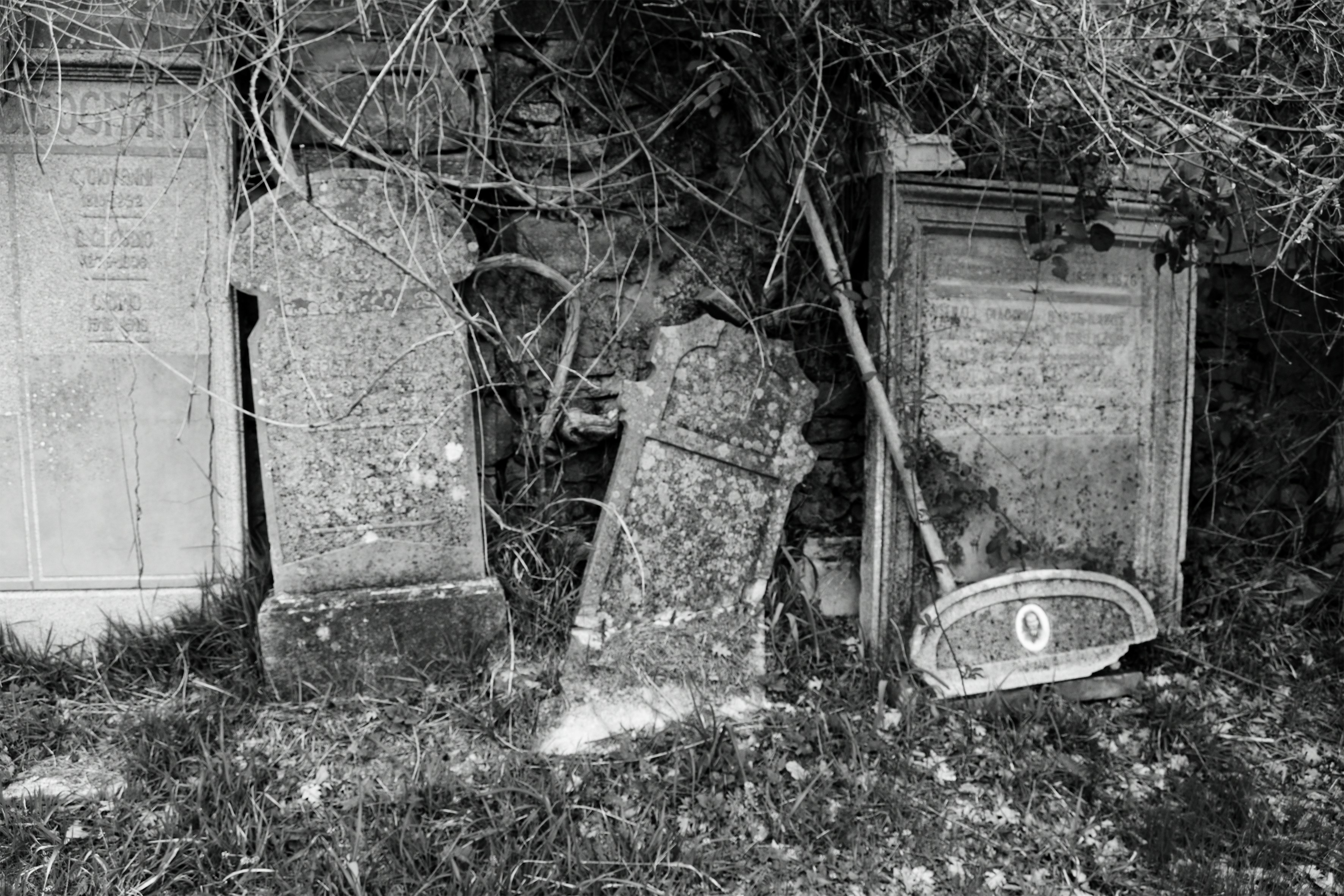 Photo by sirenavelena