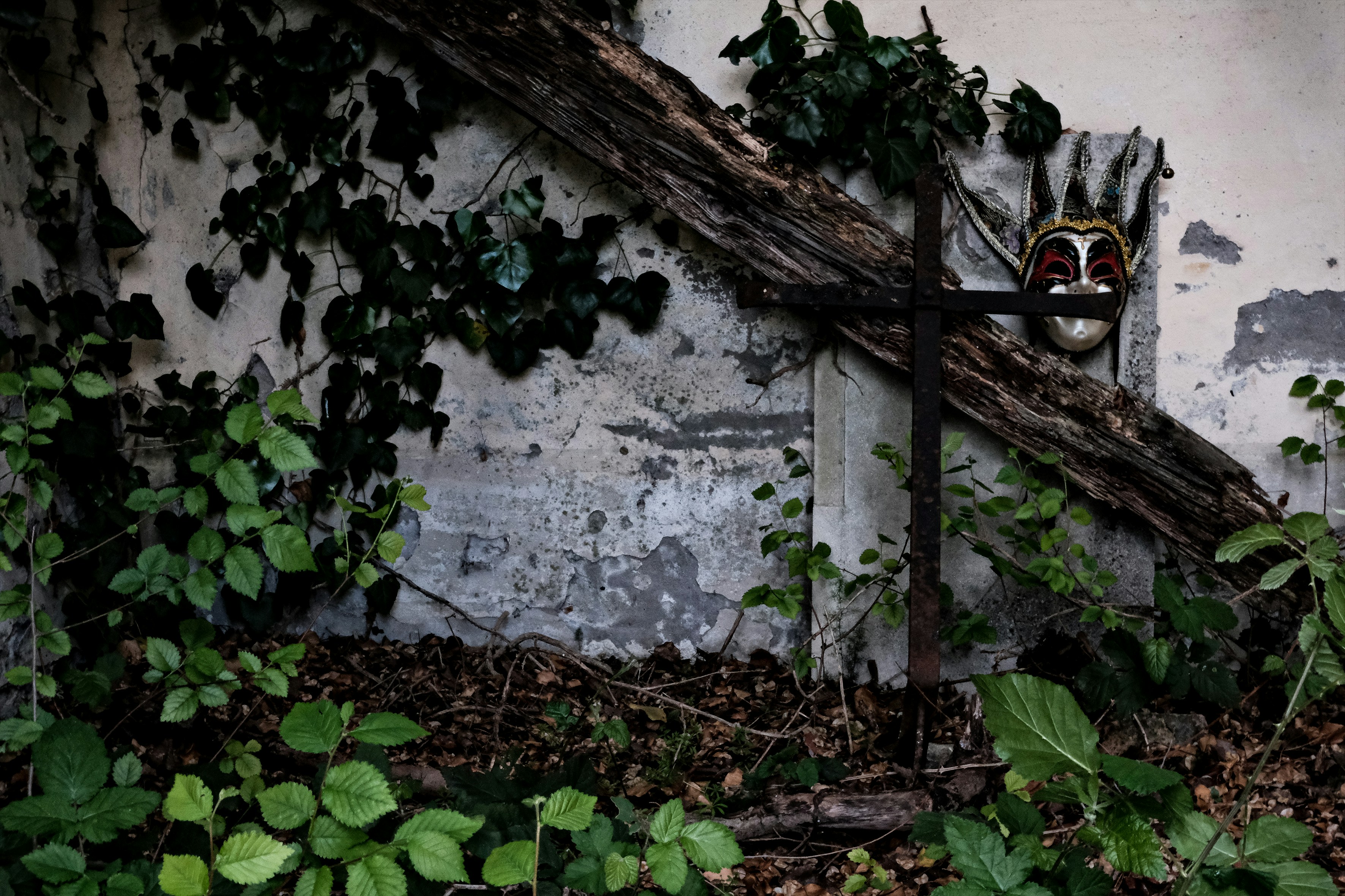 Photo by sirenavelena