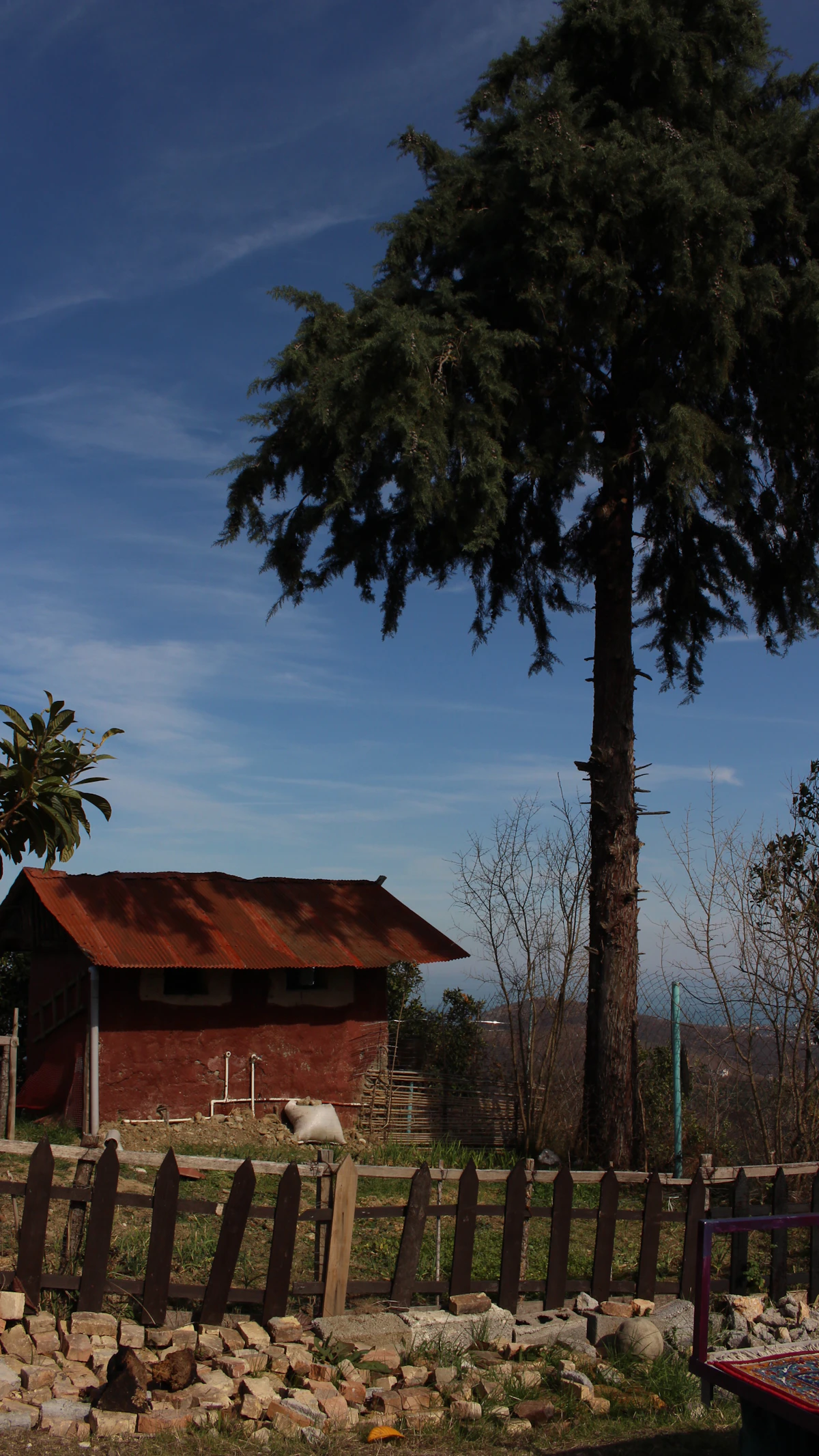 Country farmhouse with a wooden fence and a large tree in the yard