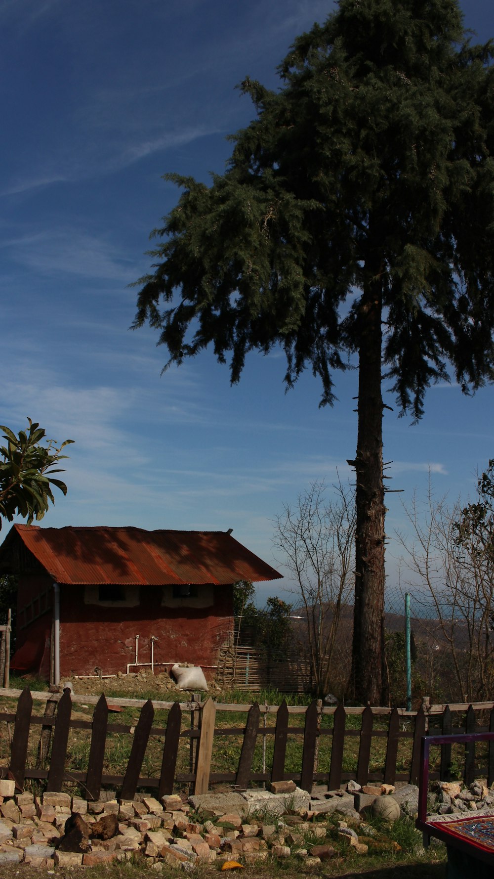 a house with a rusted roof and a tree in front of it