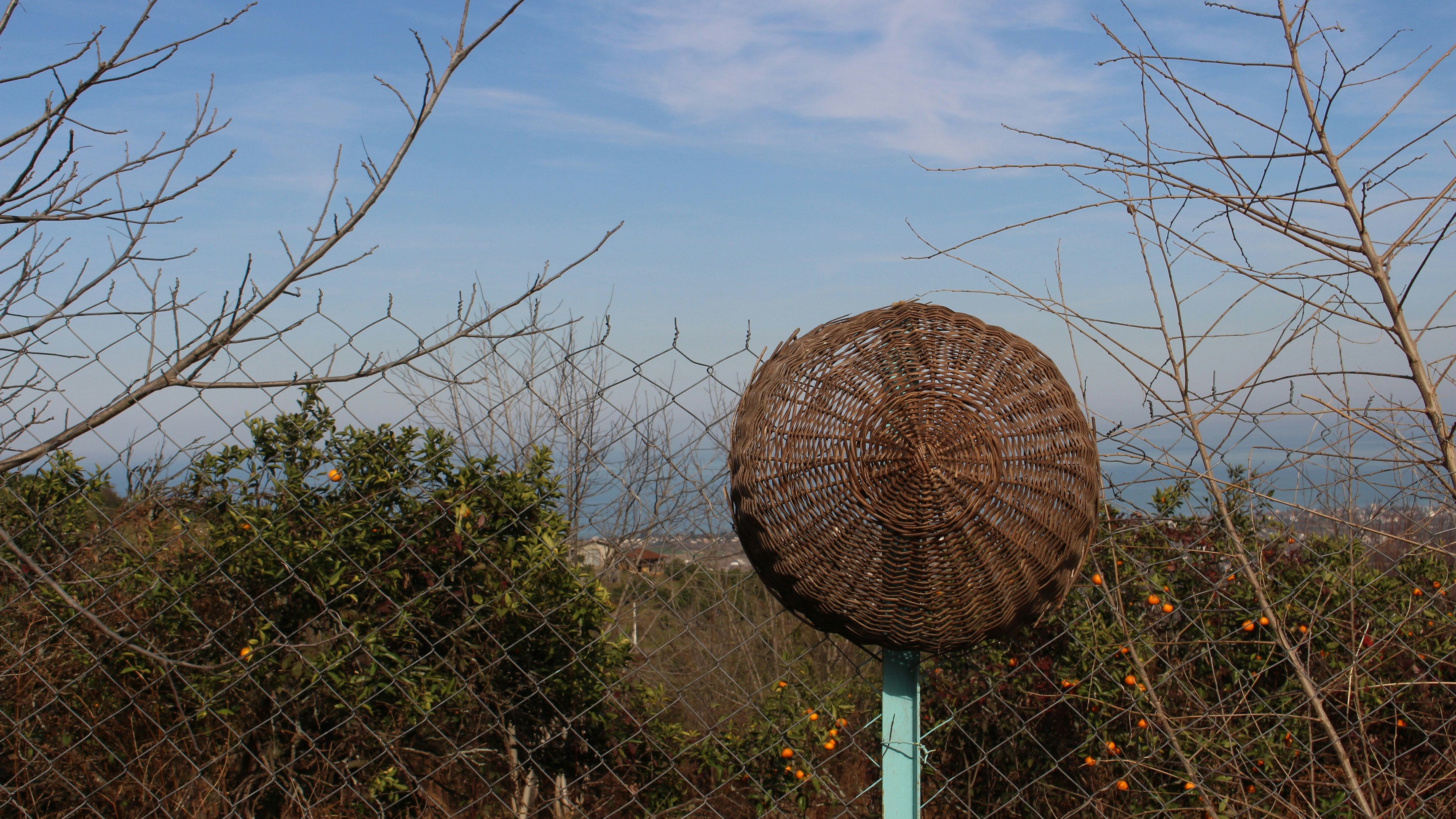 a wire ball sitting on top of a blue pole