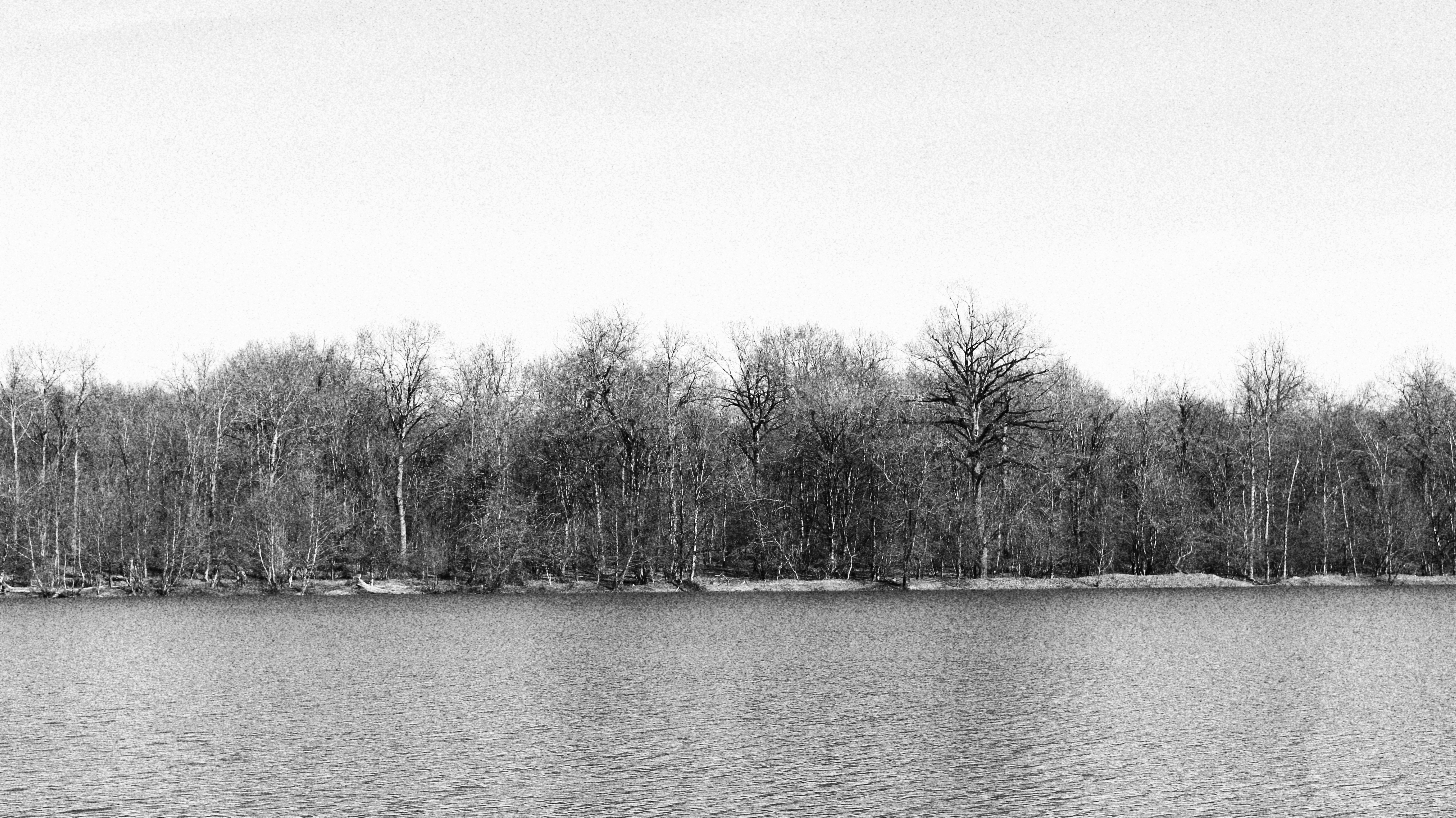 Photo by sara_mobasheri