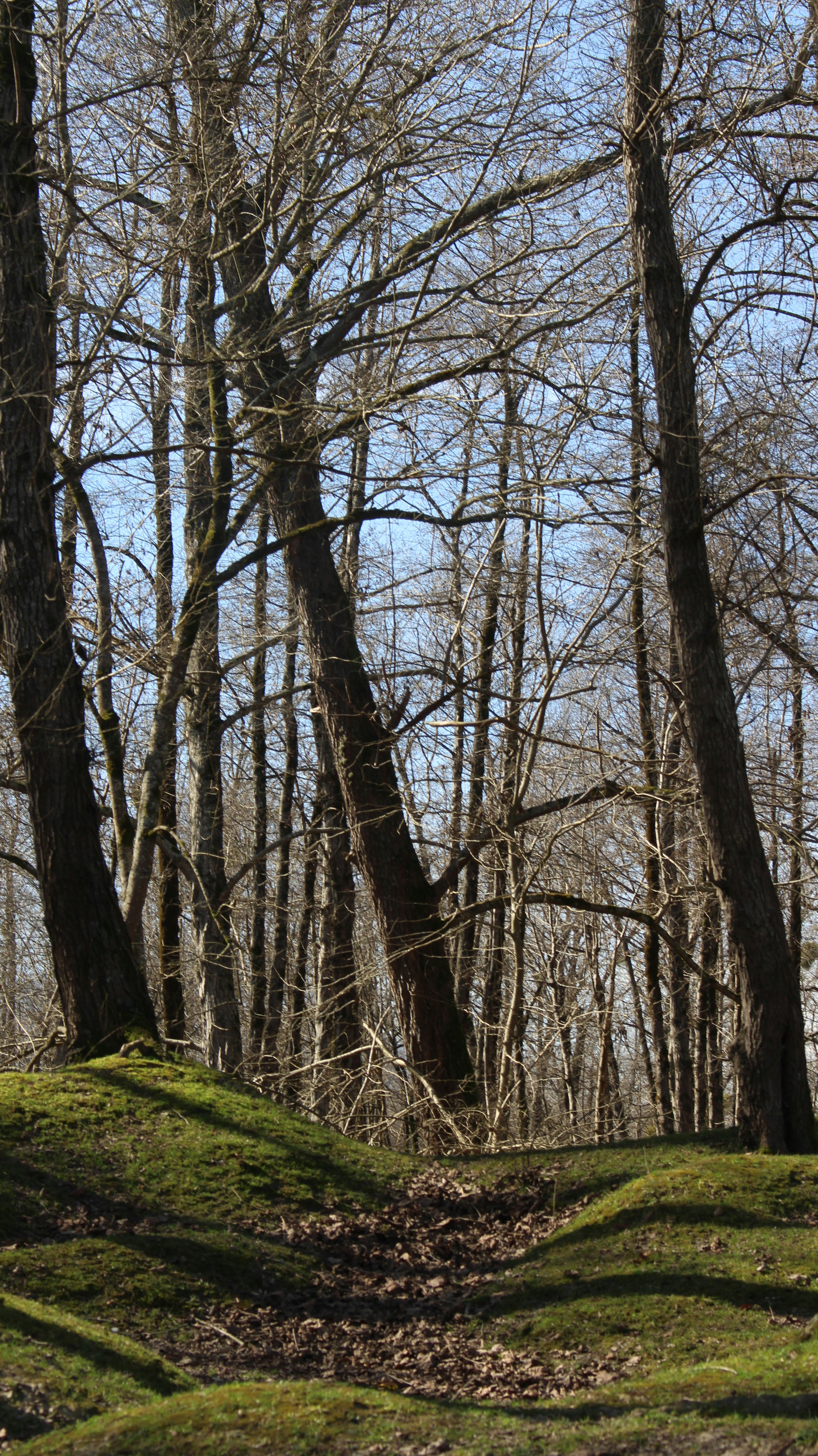 Photo by sara_mobasheri