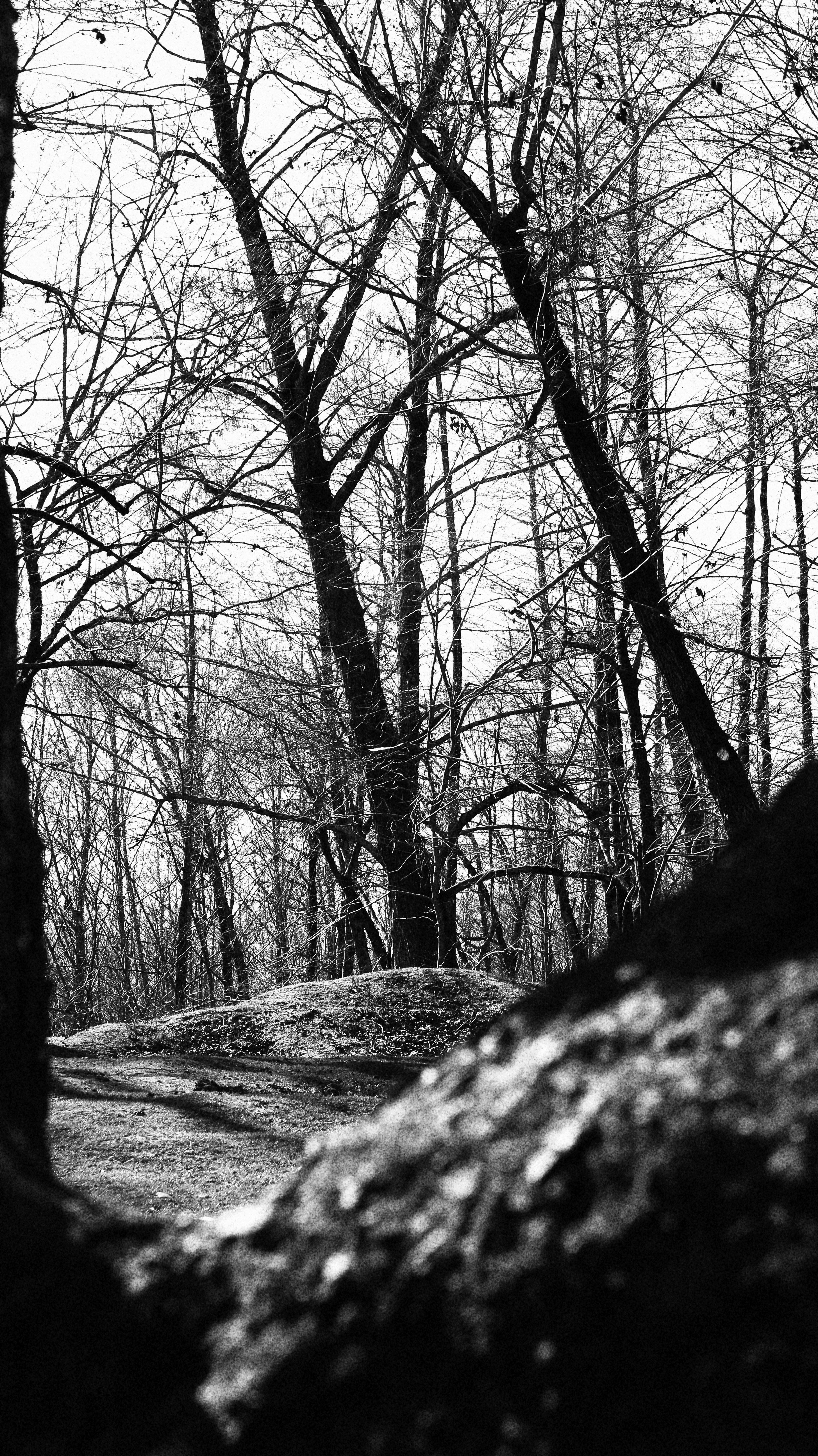 Photo by sara_mobasheri