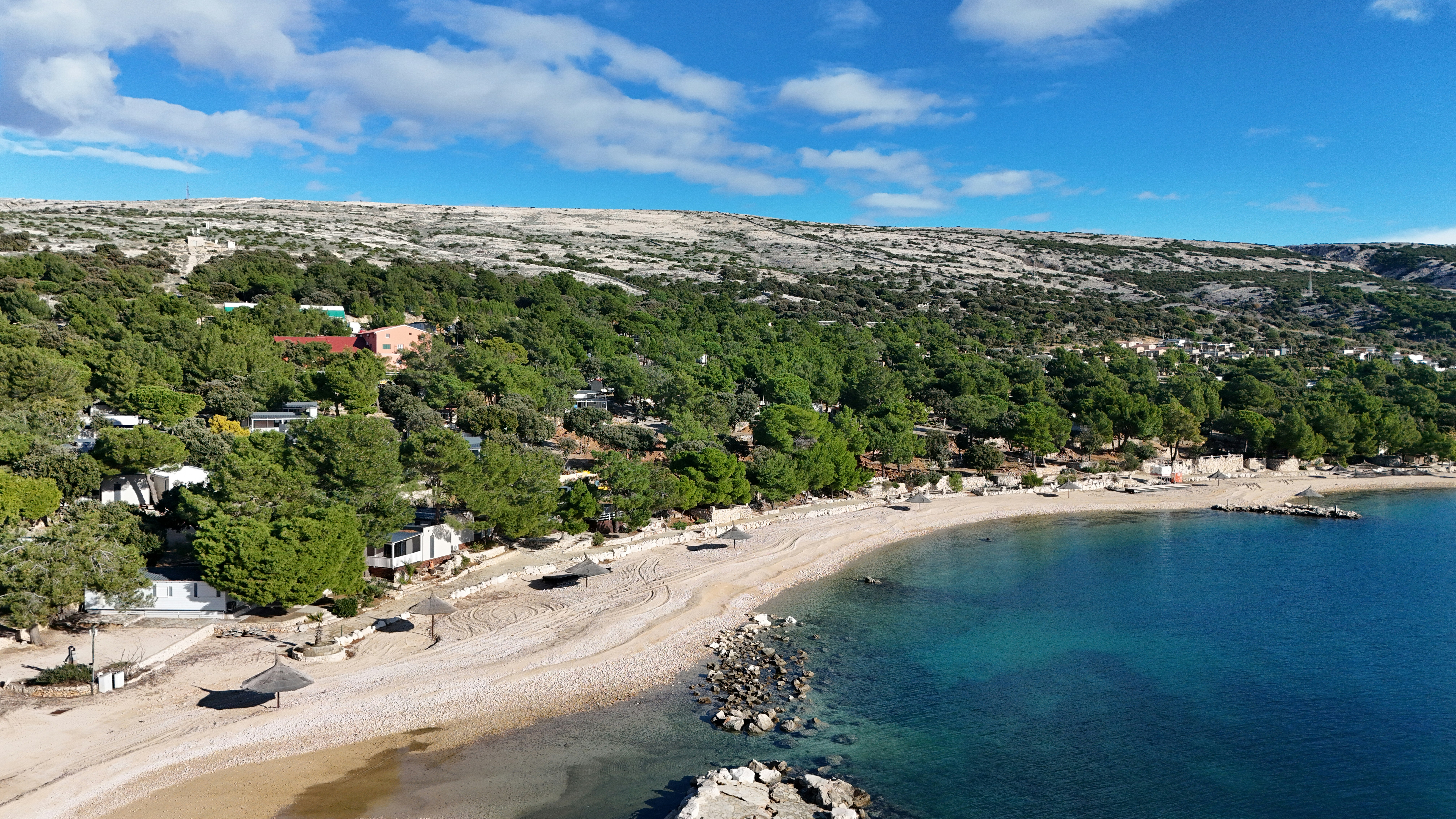 an aerial view of a beach with a lot of trees