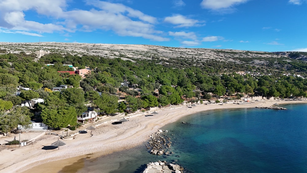 an aerial view of a beach with a lot of trees