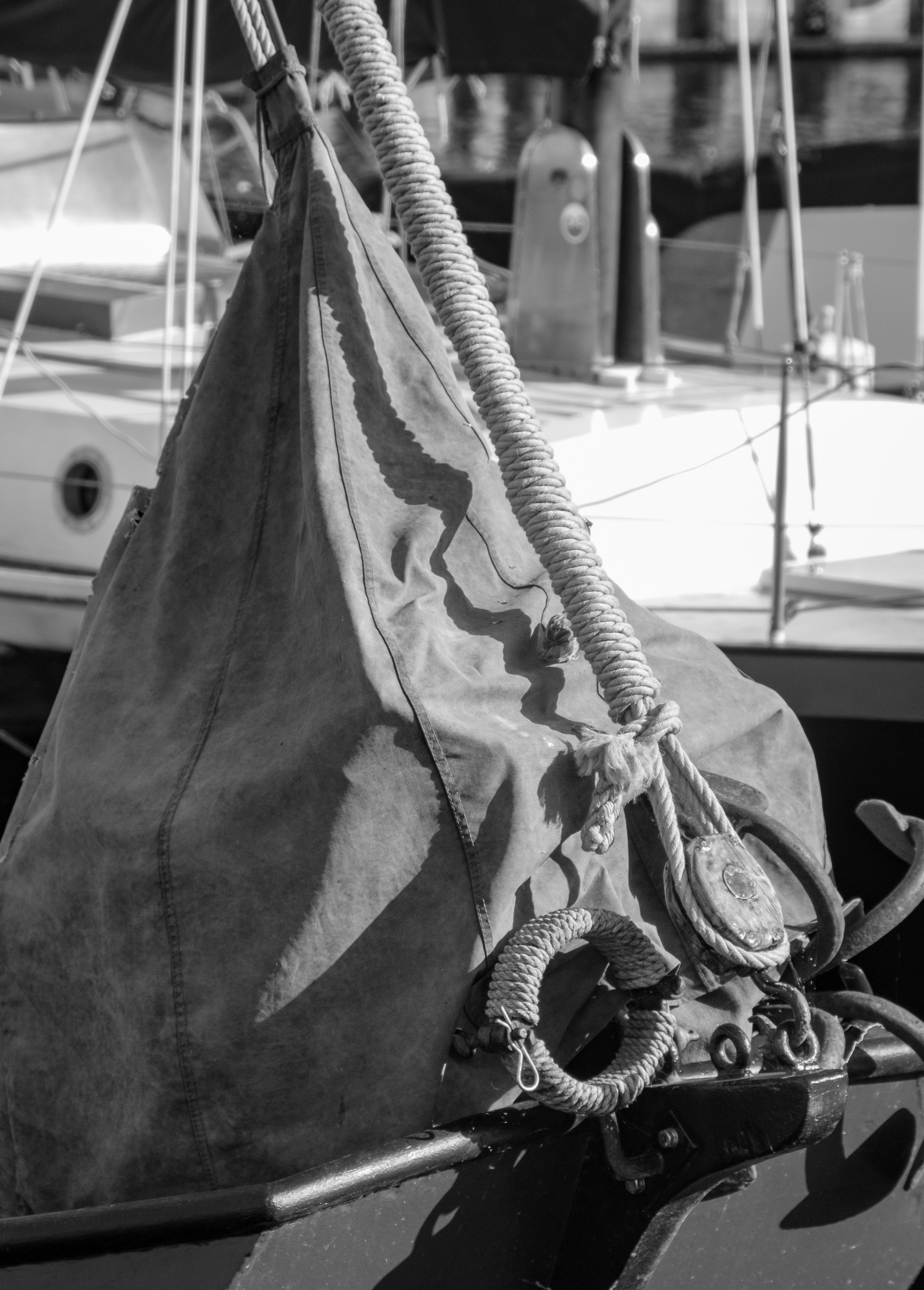 Photo by haberdoedas2